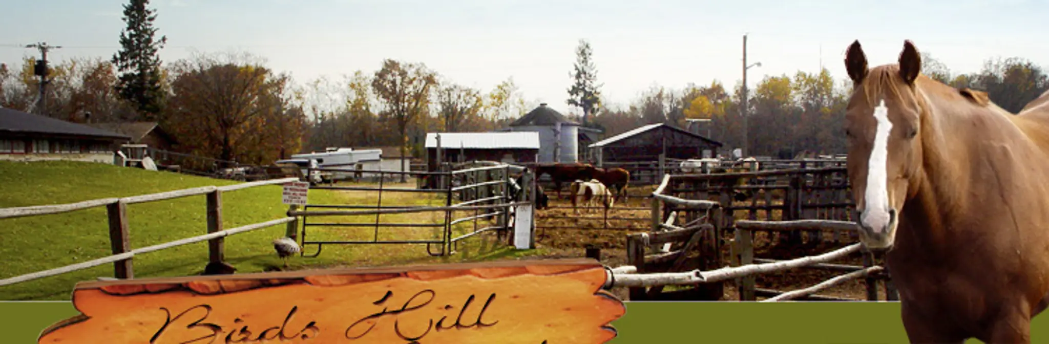 Bird's Hill Park Ranch