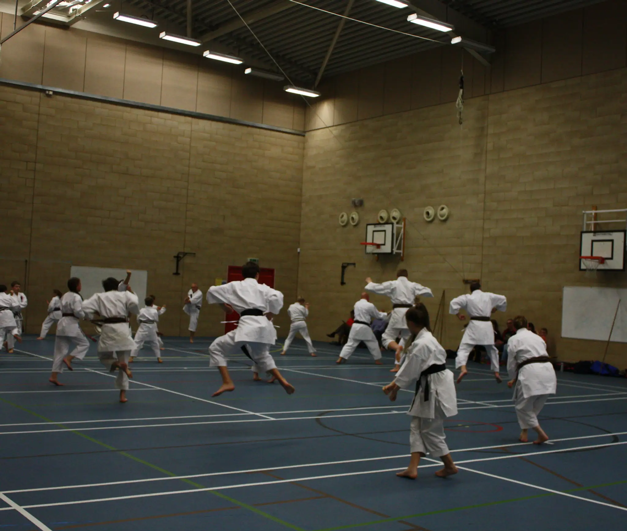 3 Counties Shotokan Karate Club