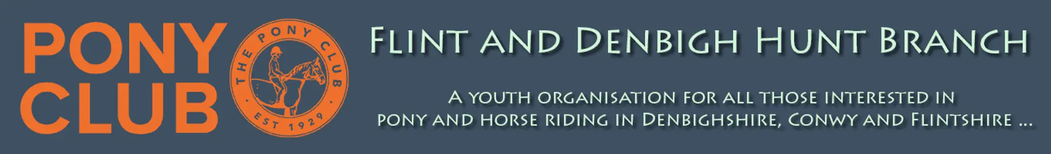 Flint and Denbigh Hunt Pony Club