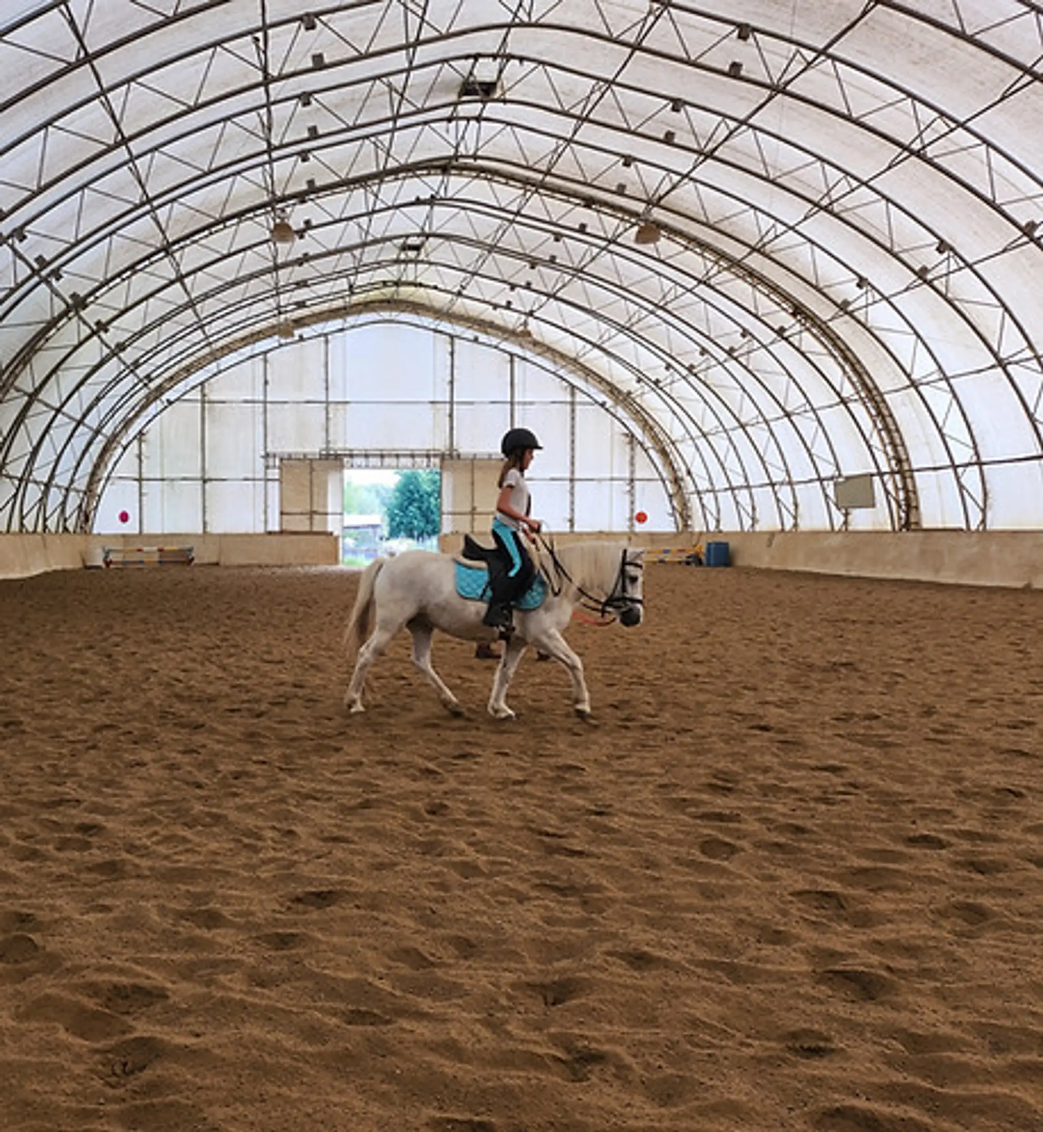 Institute Equestrian Cavalier Dragon