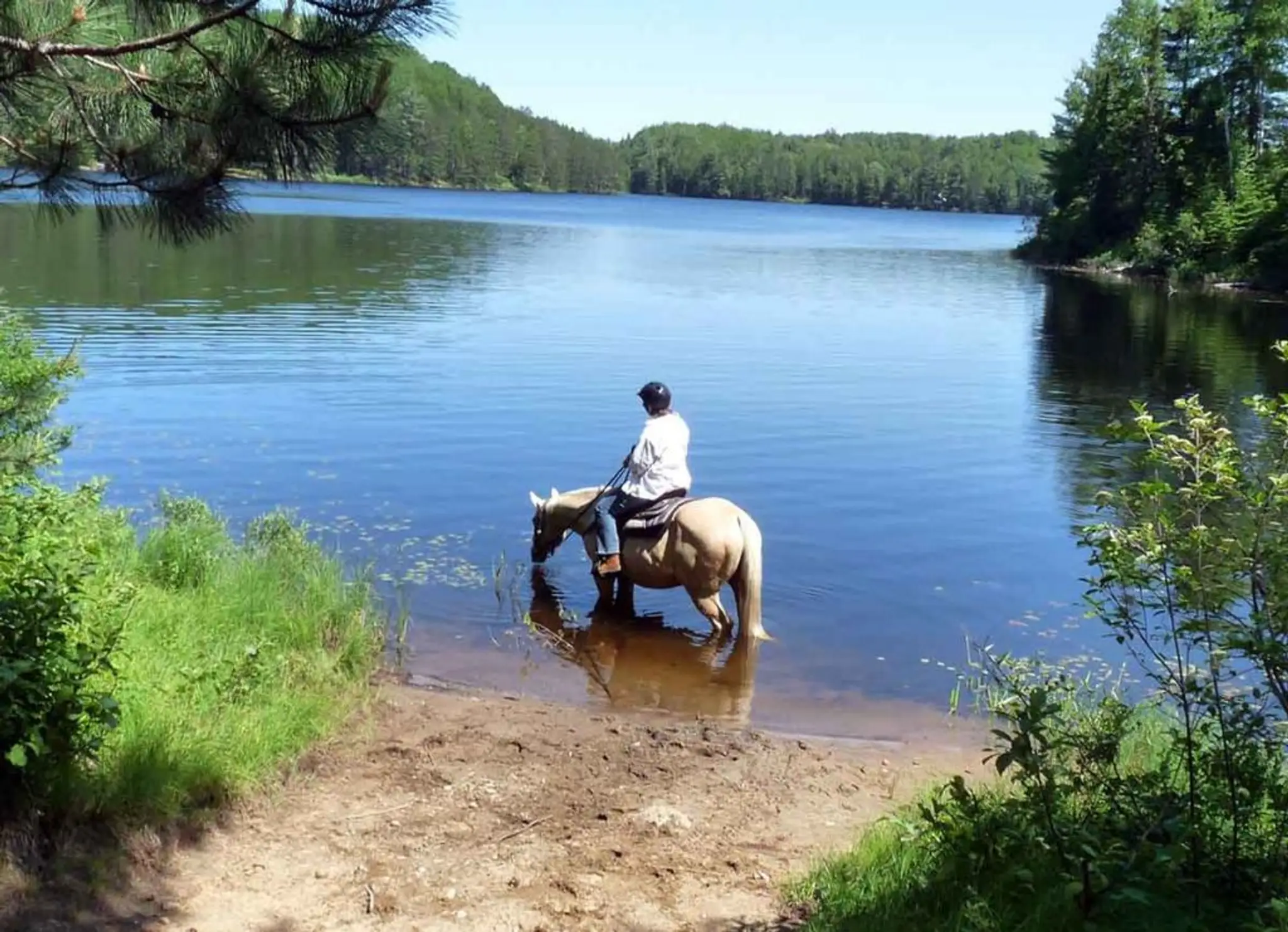 Highland Wilderness Tours