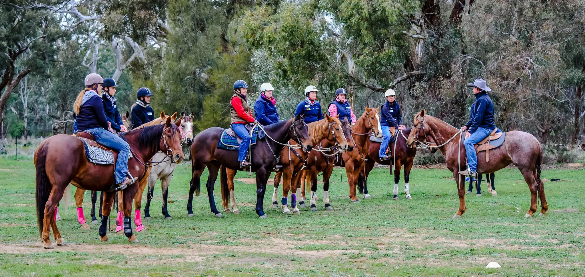 Steven Hart Performance Horses