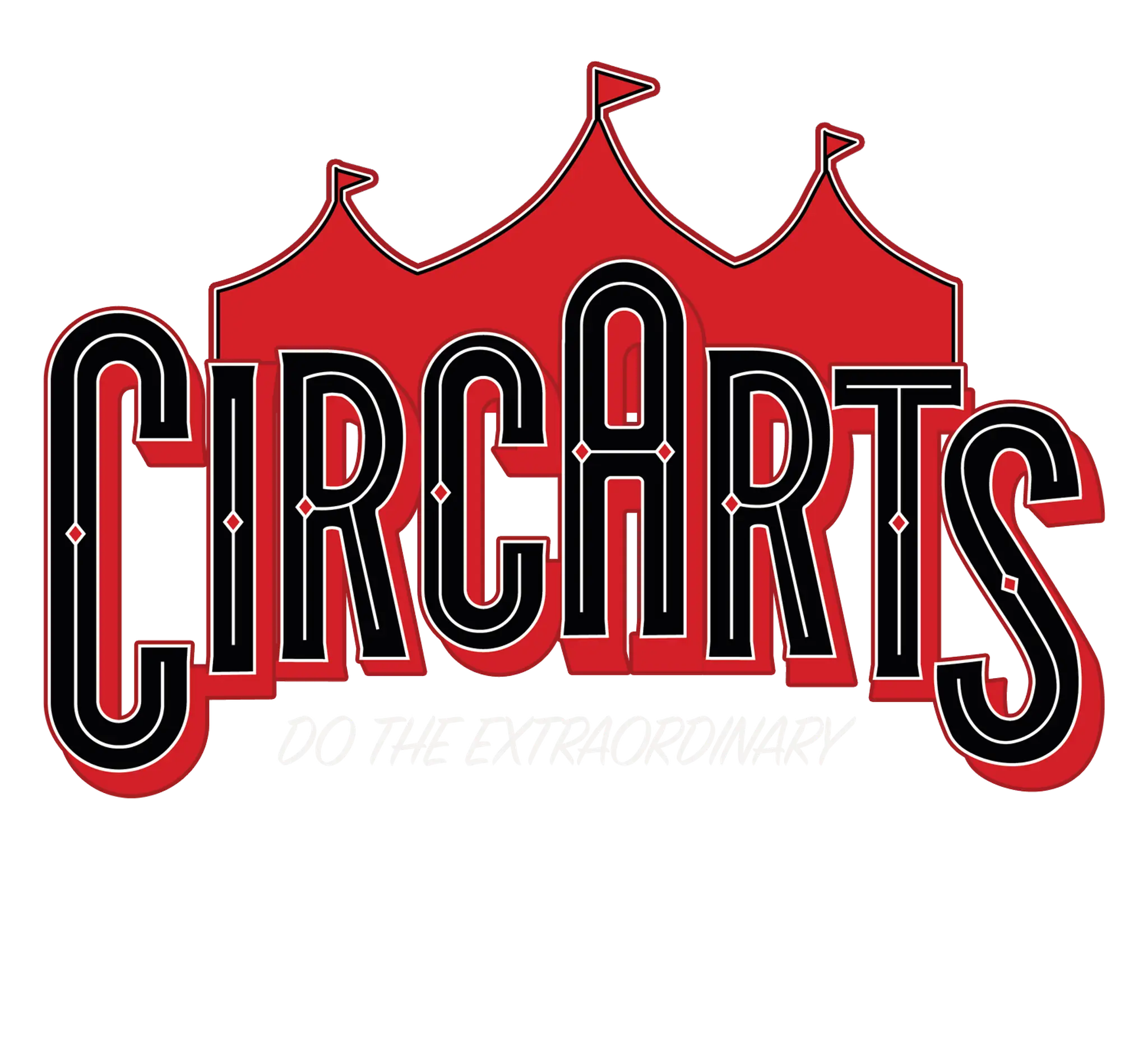 CircArts Geelong: Circus, Aerial Arts and Acrobatic Academy