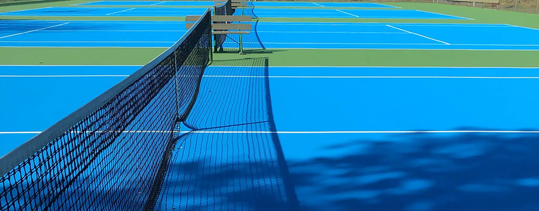 Fenelon Falls tennis club