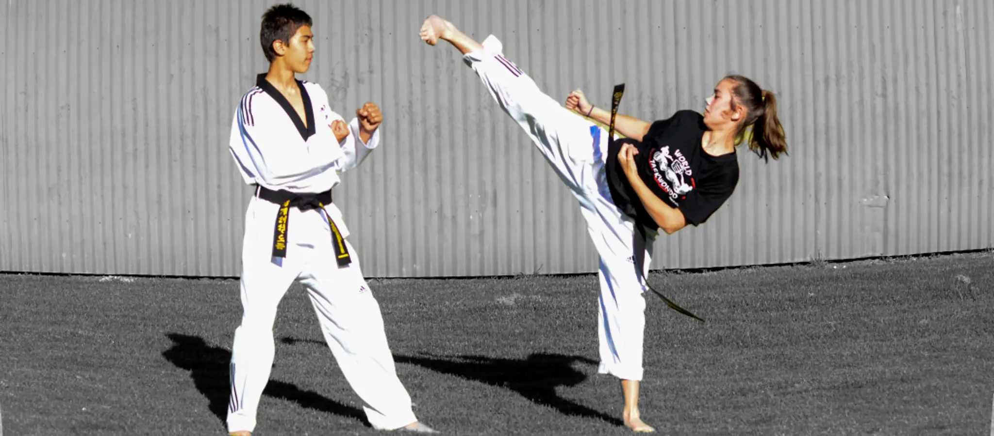 Taekwondo - World taekwondo Academy, Henley Beach