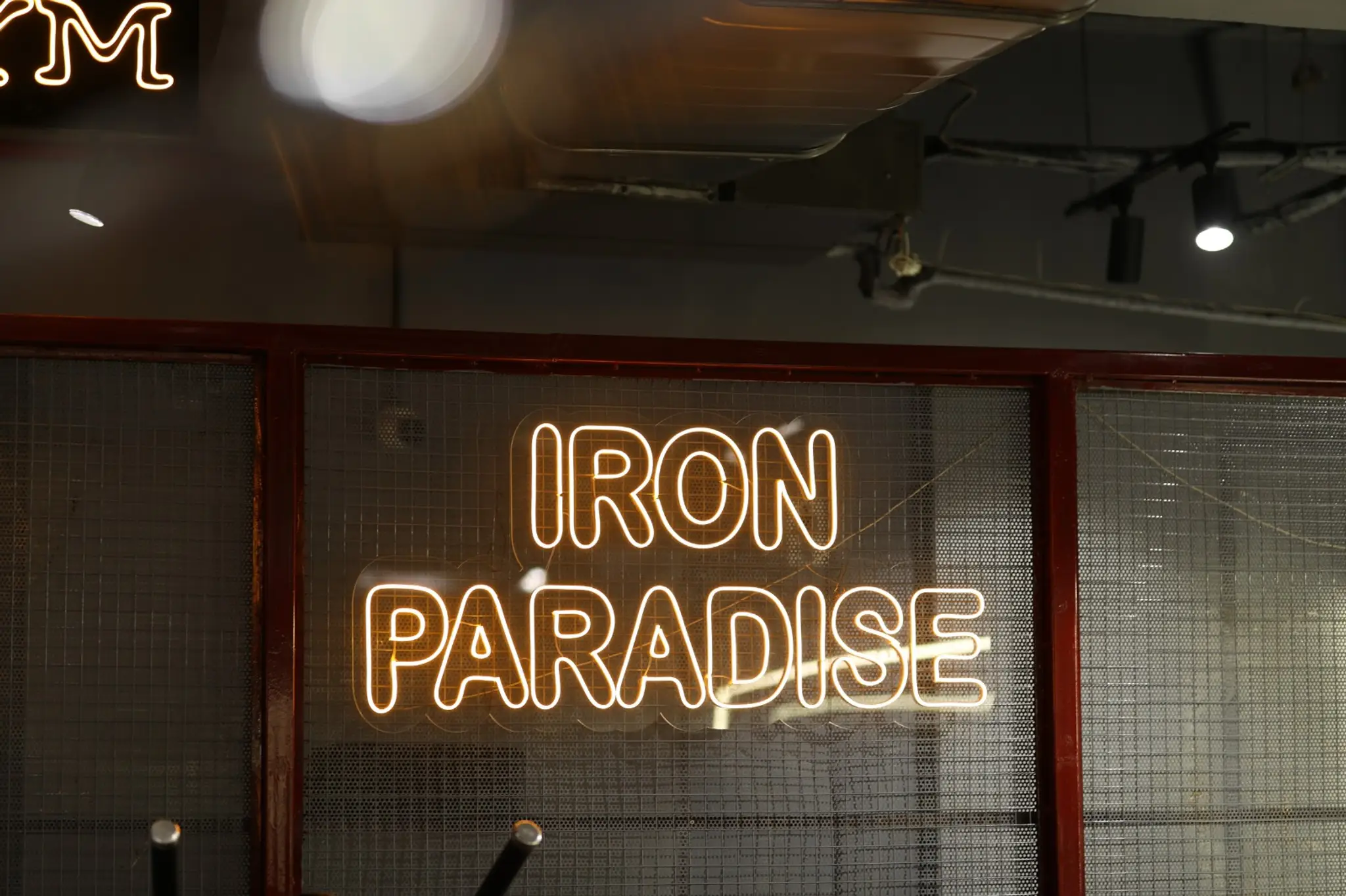 Iron Paradise Gym