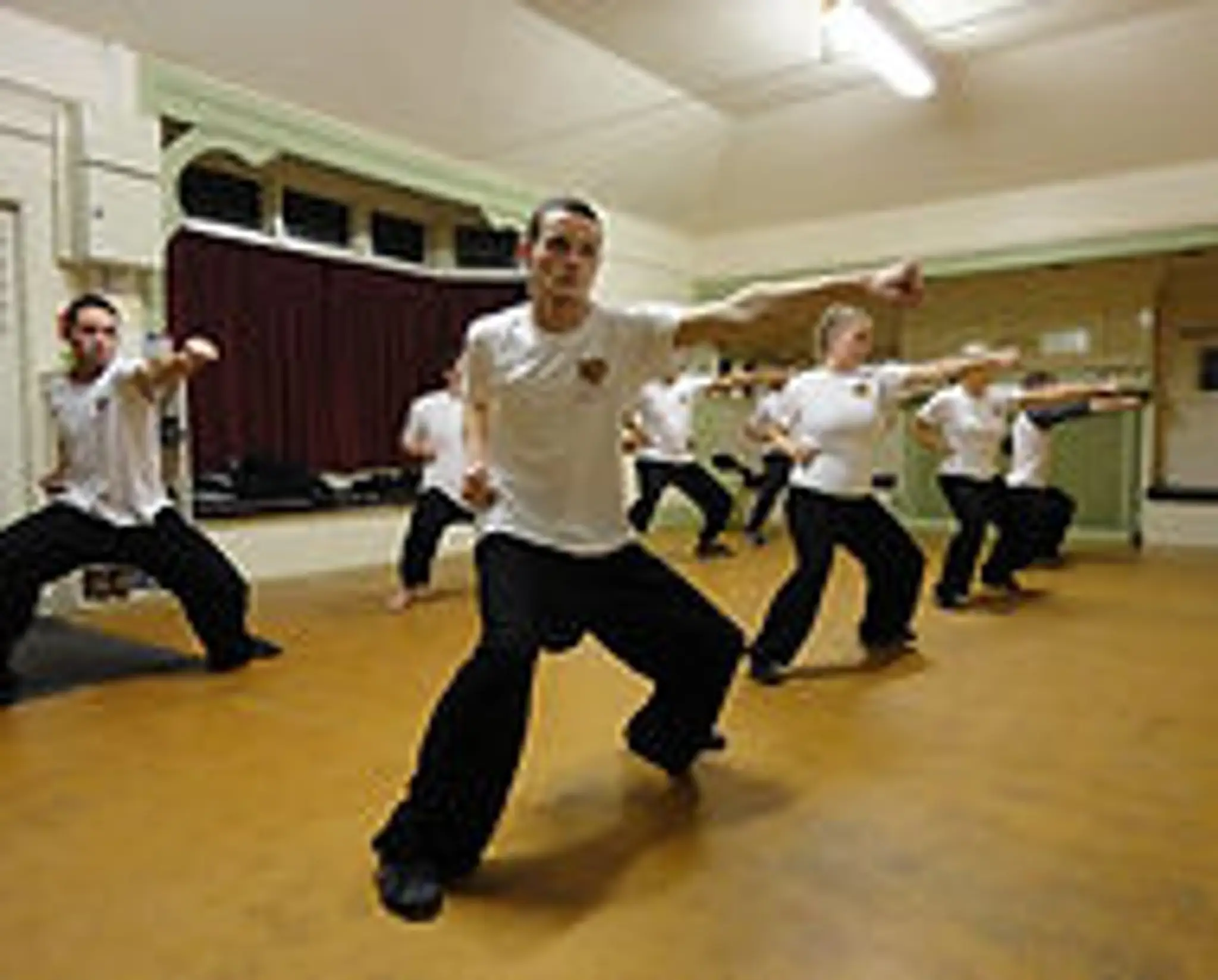 Master Song Shaolin Kung Fu Wushu - Learn authentic Kung-Fu