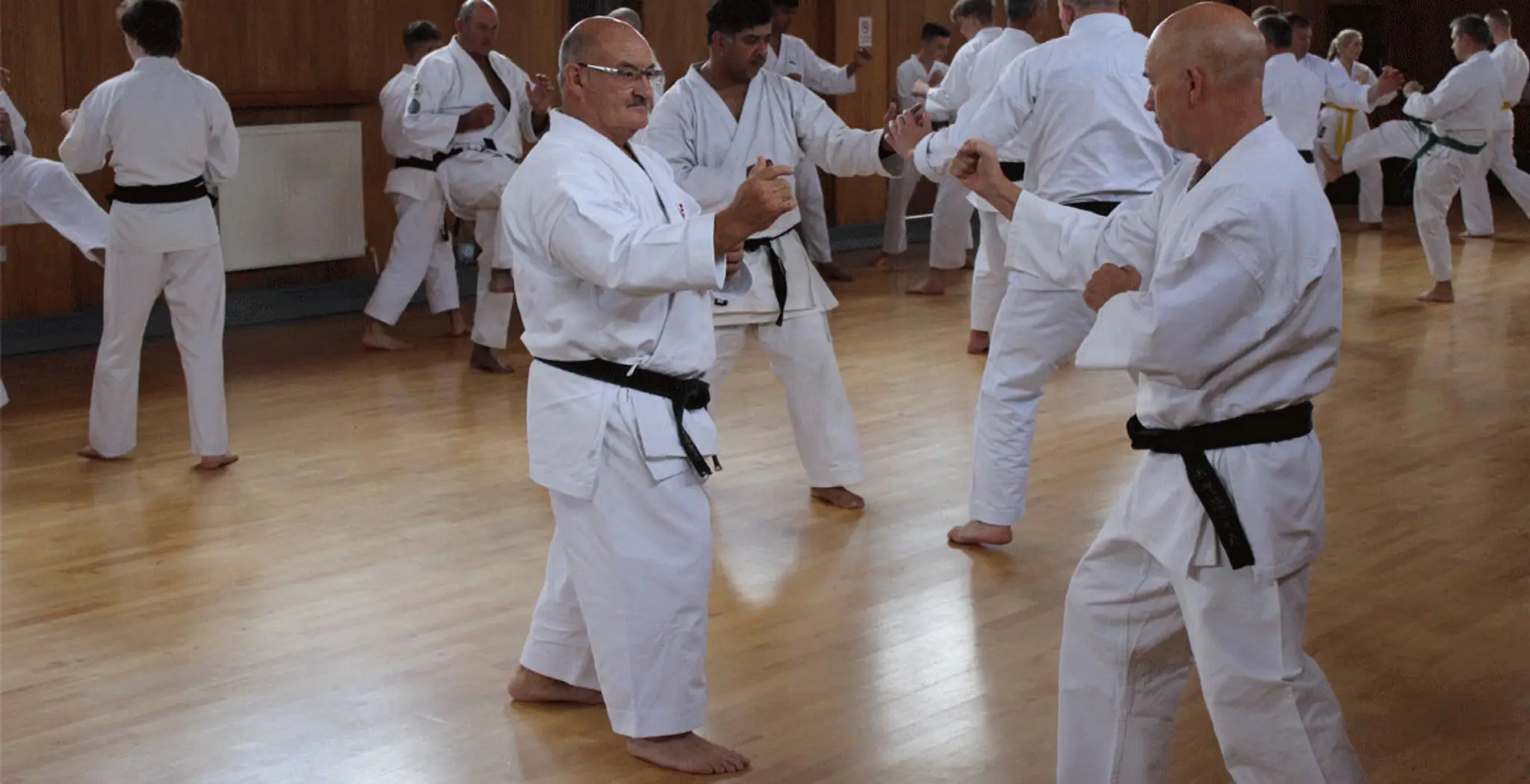 West Midlands Shuhari Wadoryu Karate Club