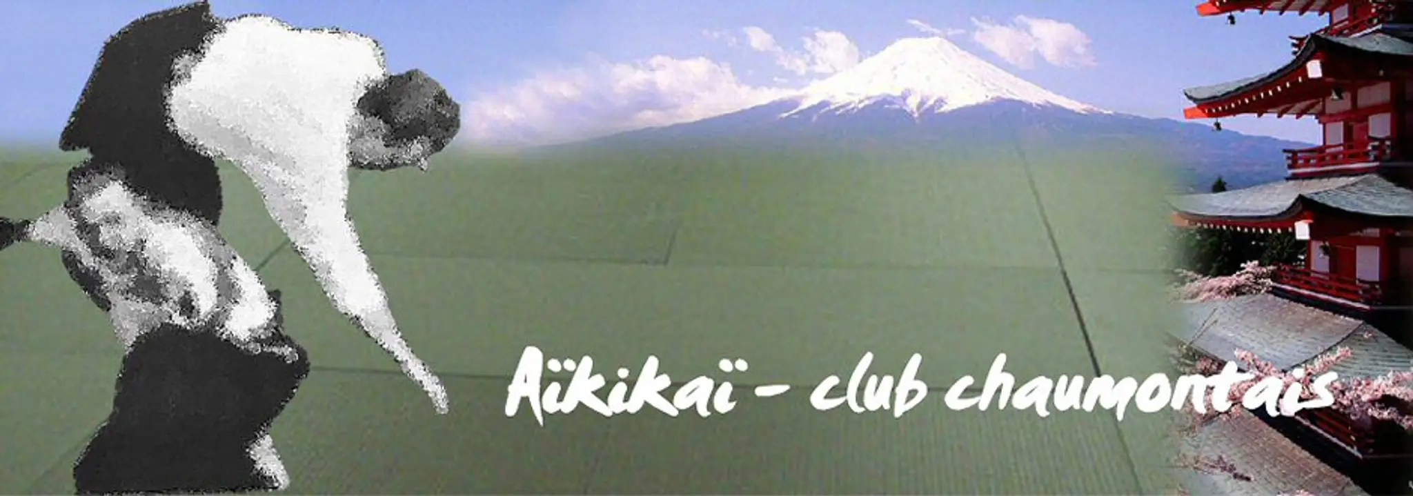 Aikido Club De Chaumont
