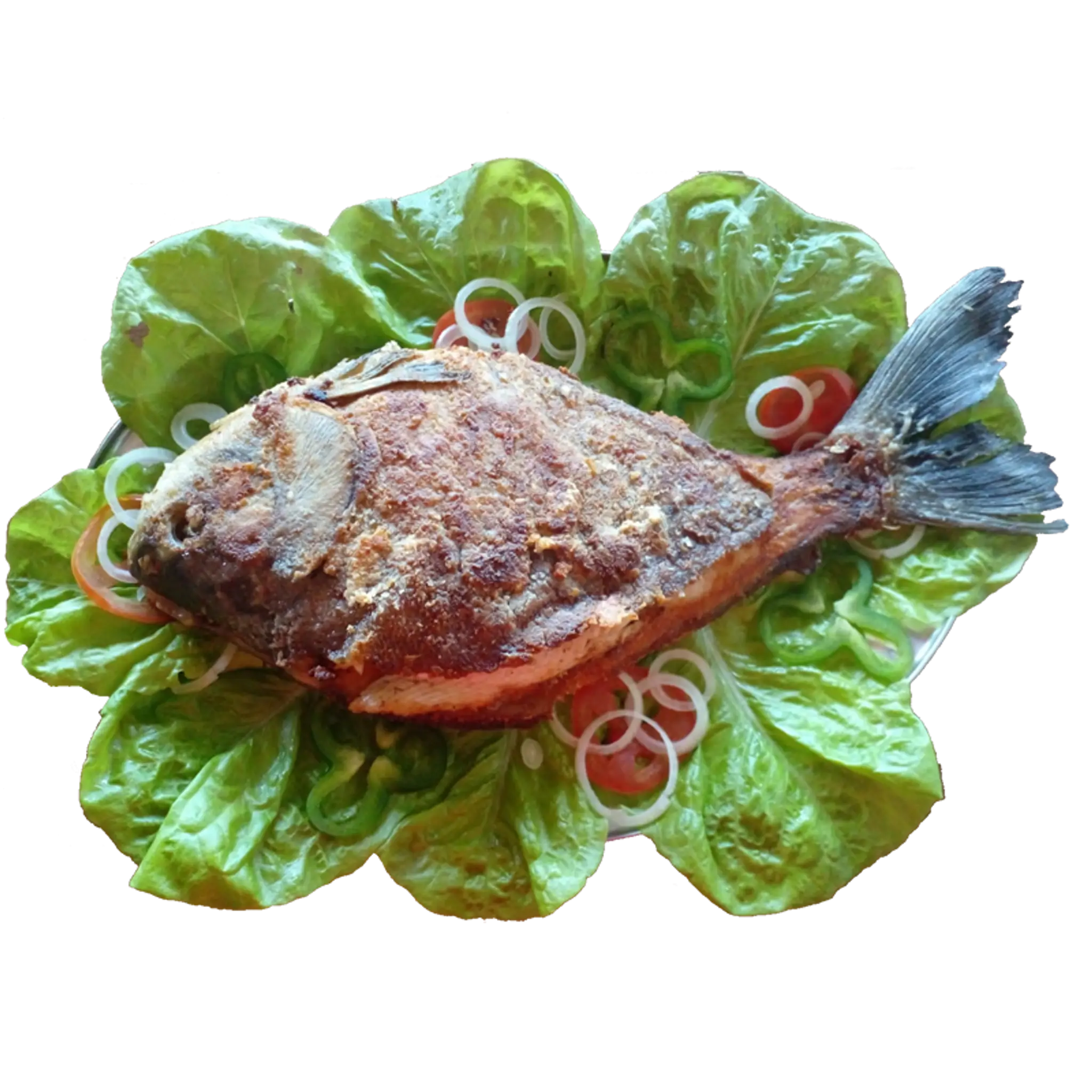 Recanto da Matrinxã