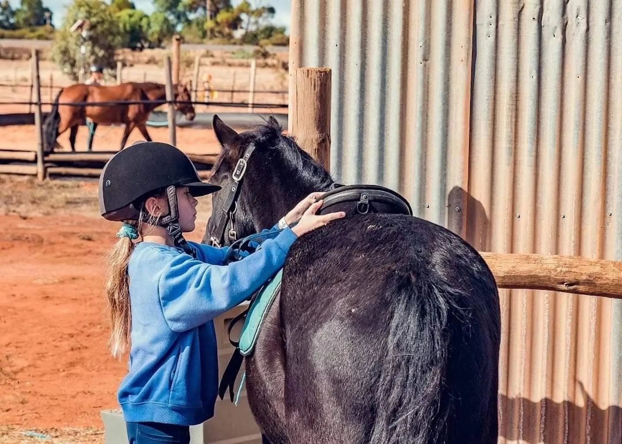 Mildura Horse Riding School