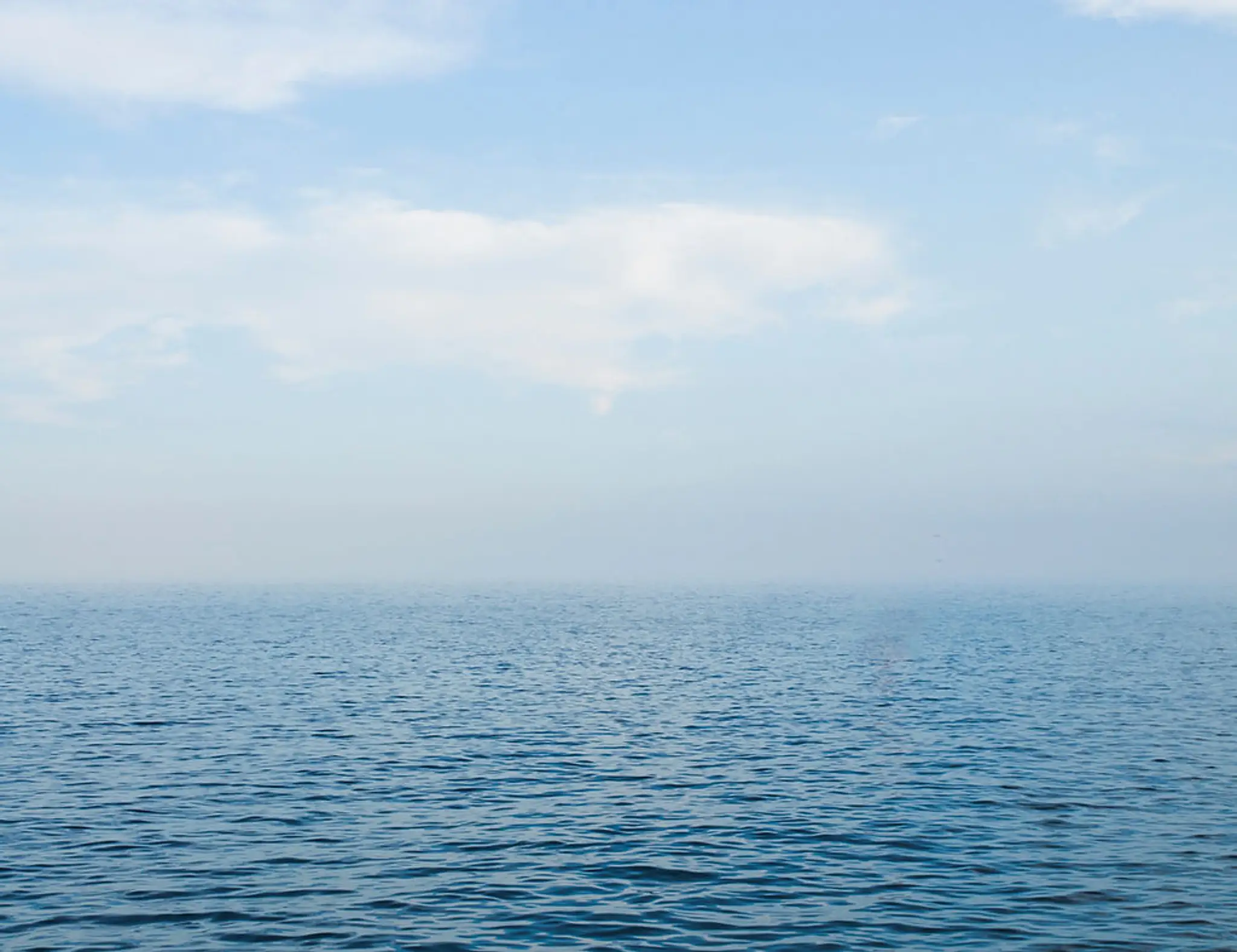 The Midlife Motivator