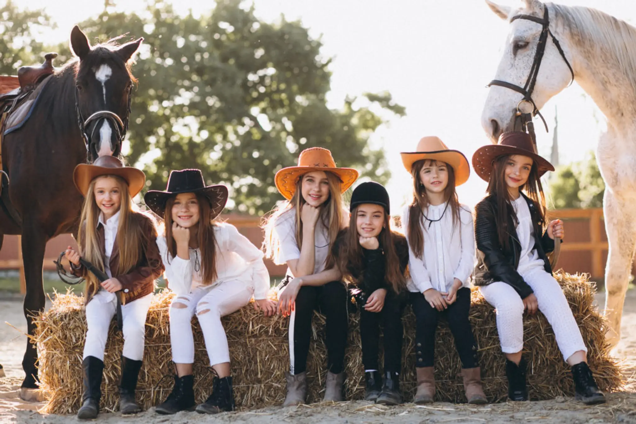 Les Poneys De Provence