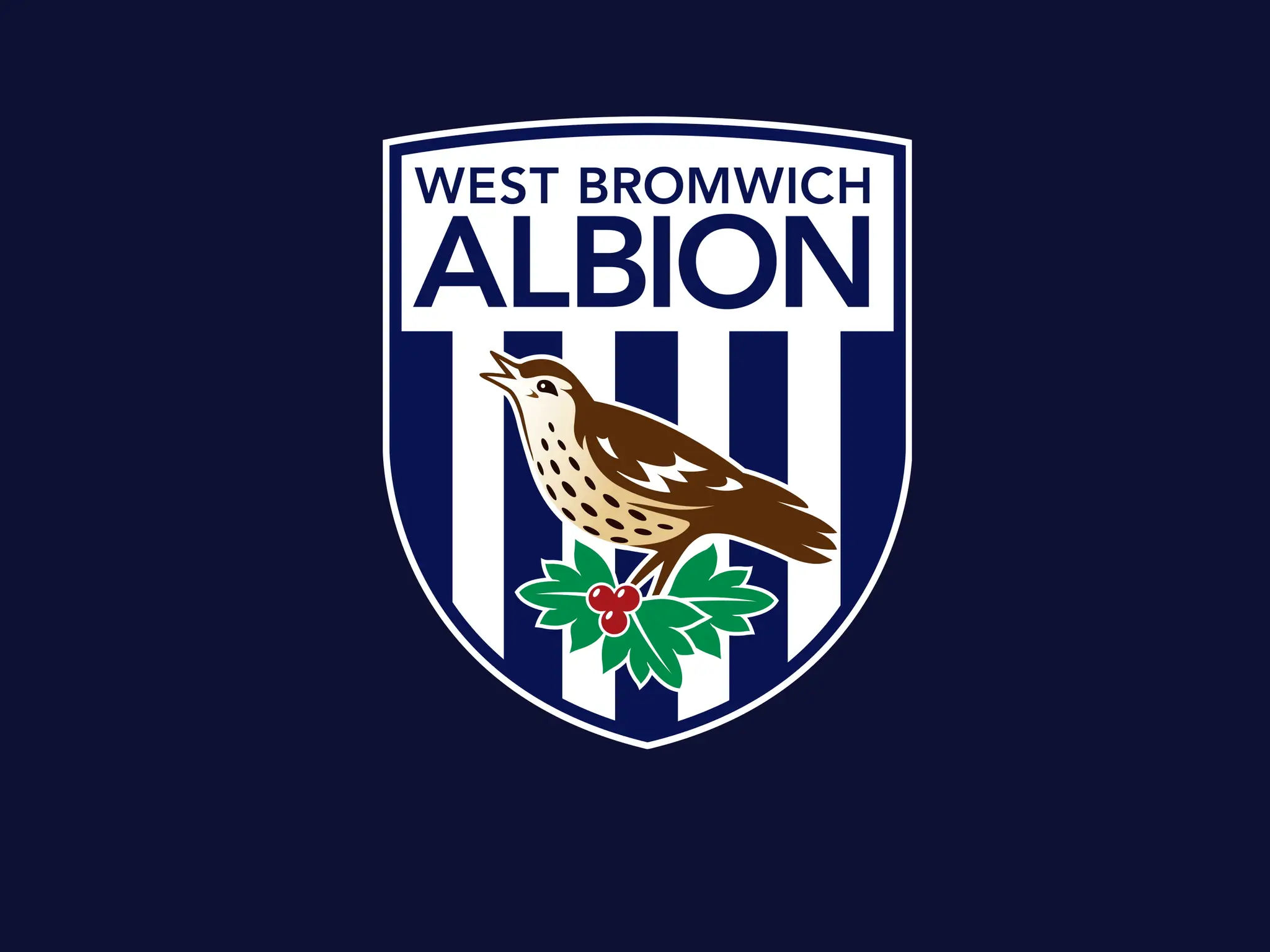 West Bromwich Albion Football Club