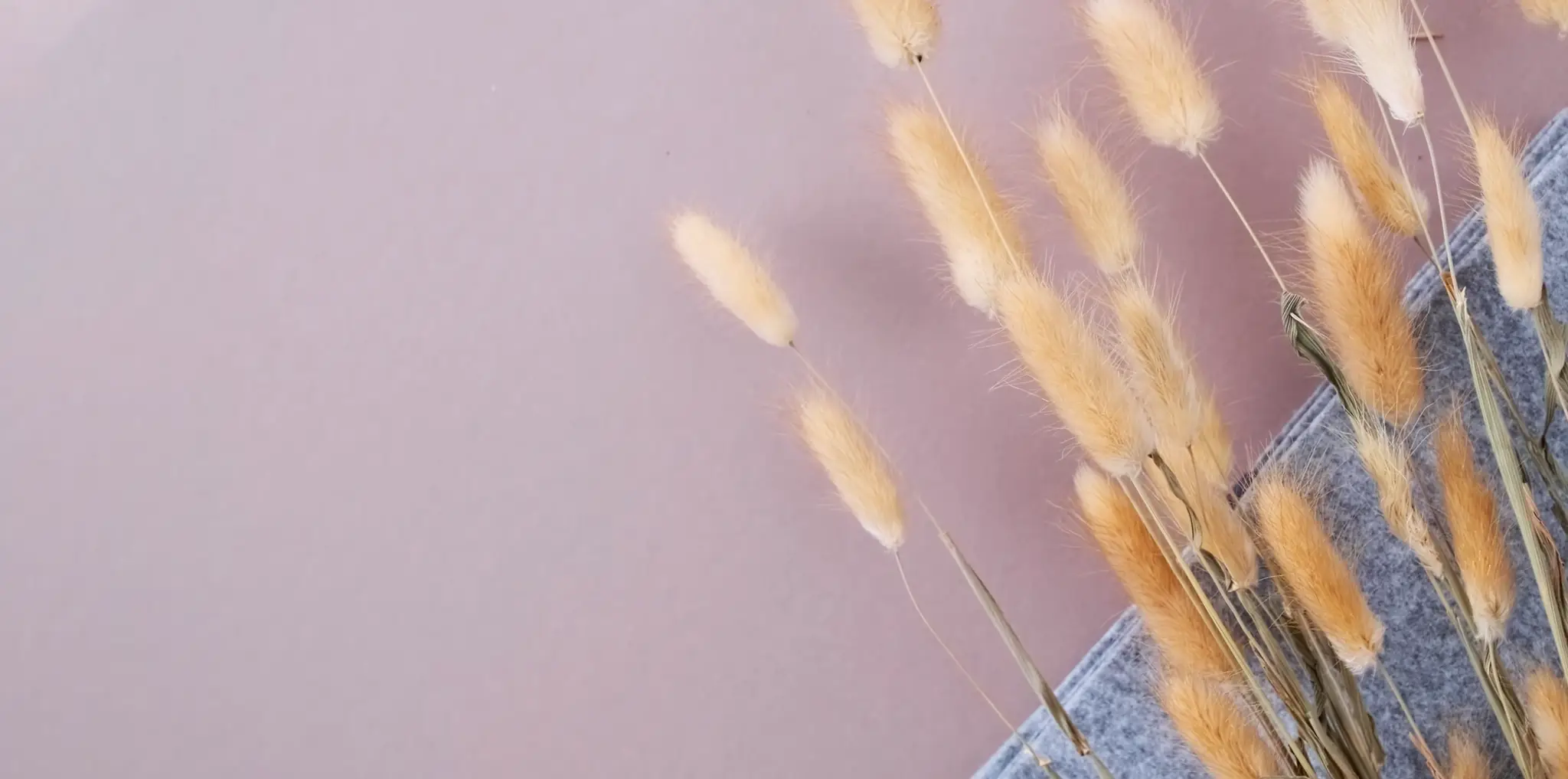 Camille Oriot - Prof. De Yoga Vinyasa