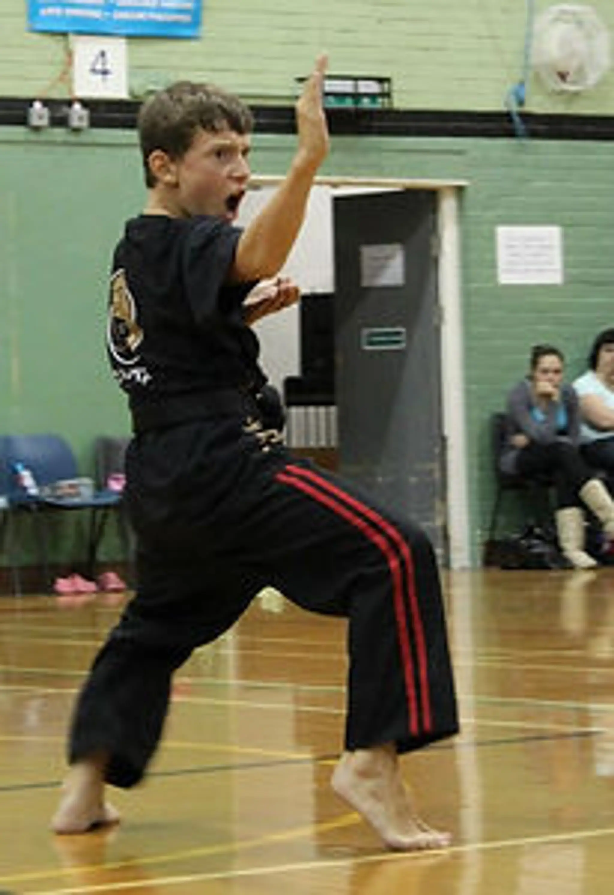 Southern Sport Karate Organisation Waltham Chase