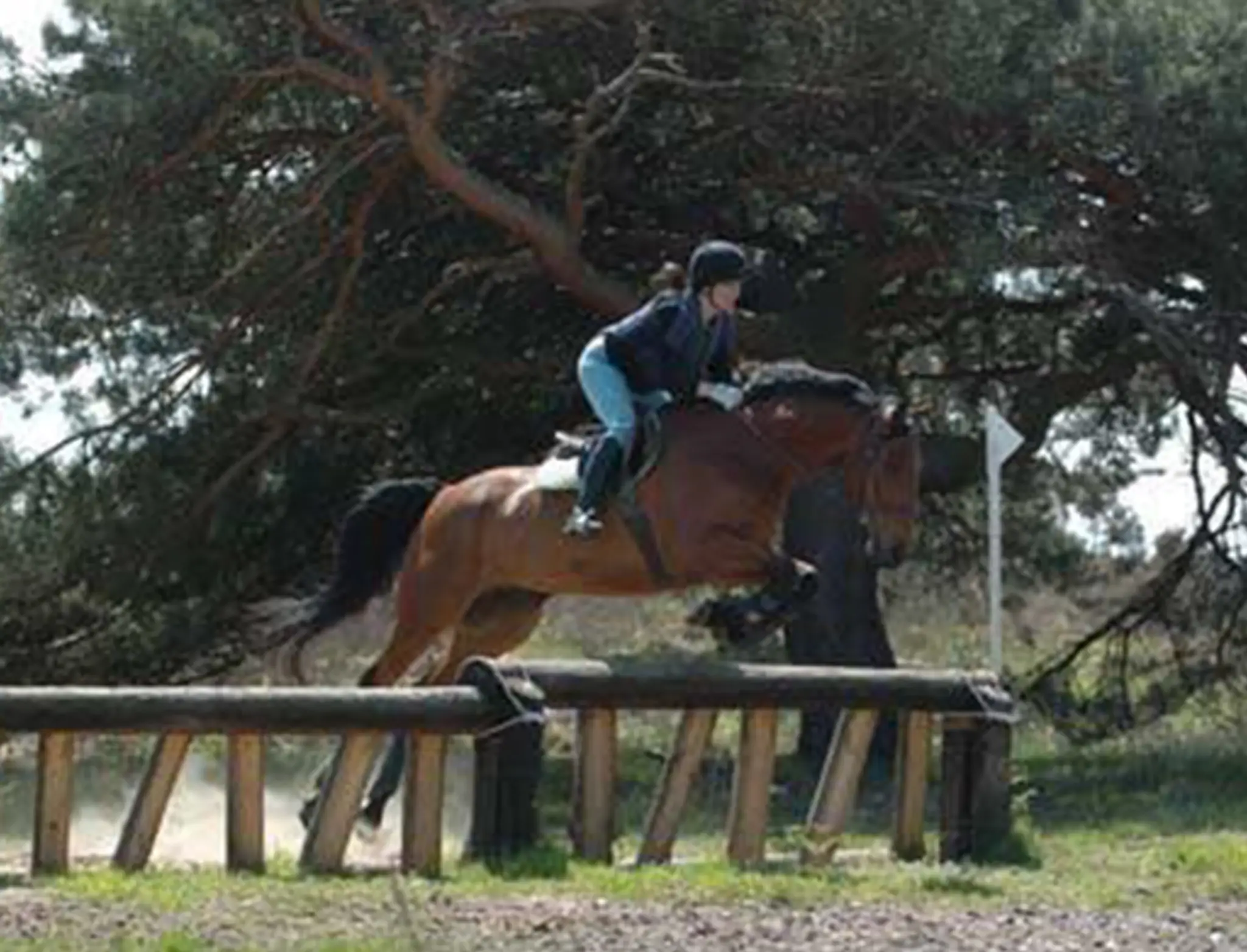 The Kiln Equestrian Centre