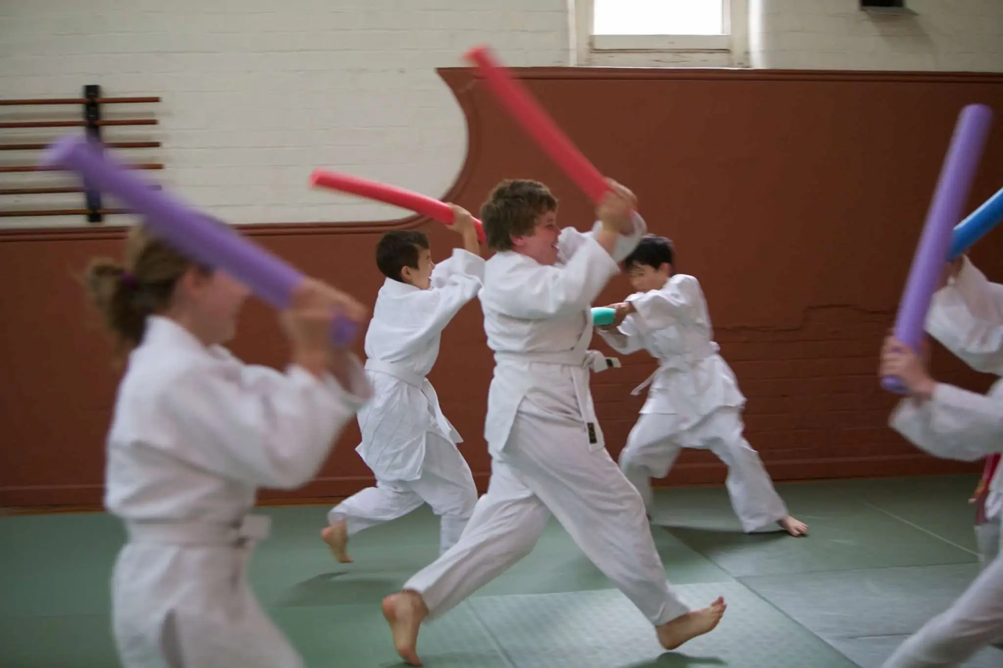 Cairns Aikido Aiki Kai Freshwater Dojo