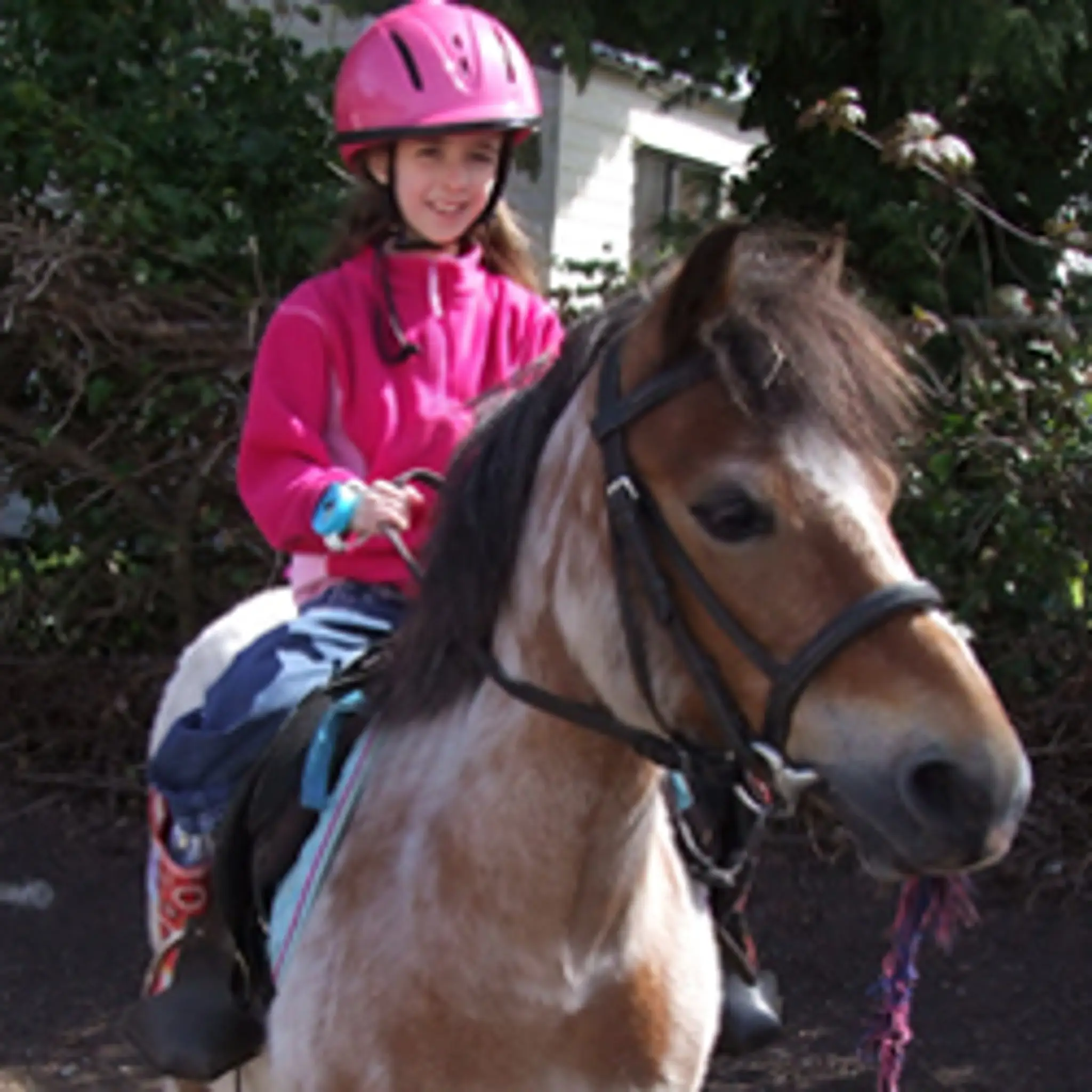 Haggerston Castle Riding Centre