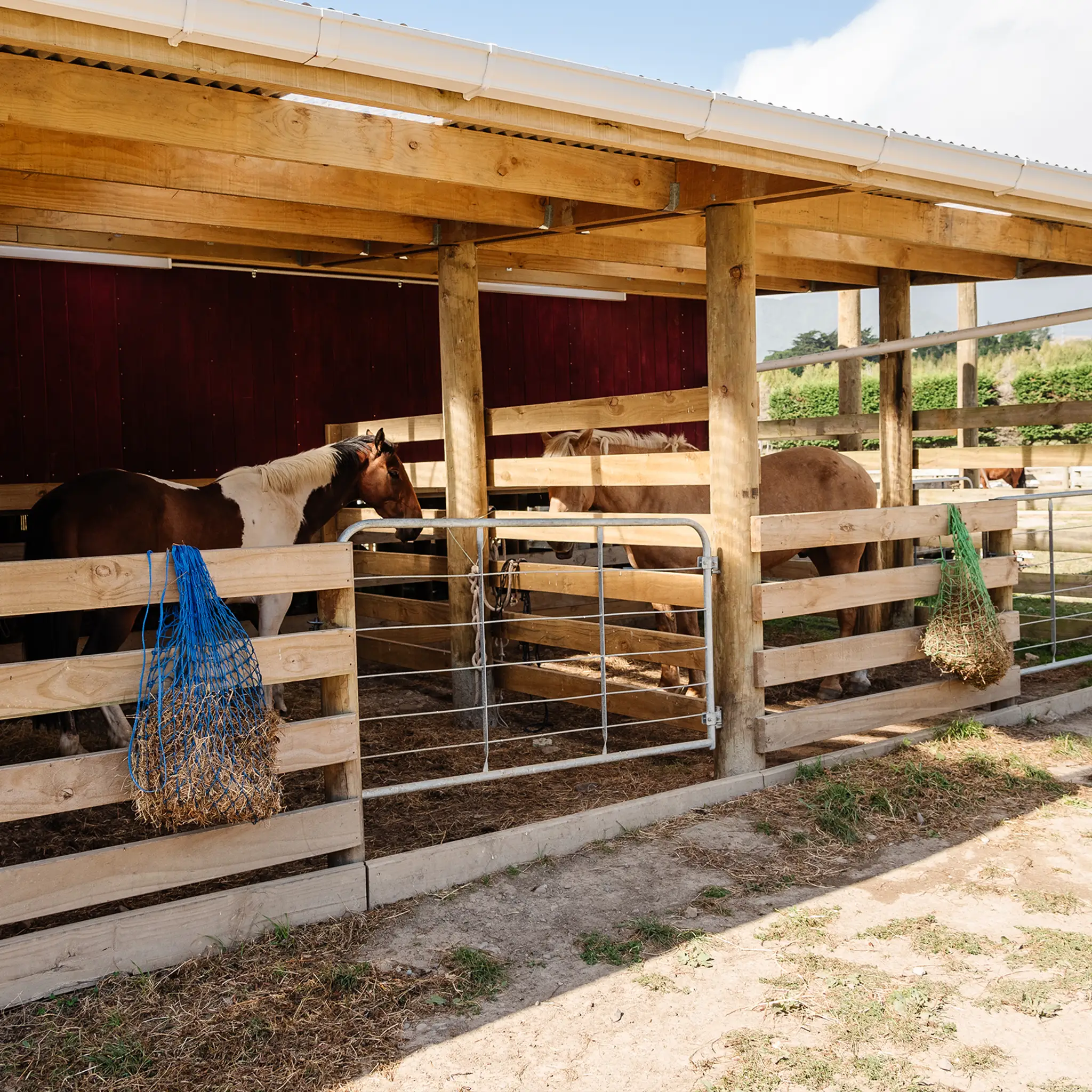 Pony-Tales, Pony Riding School, Waikanae.