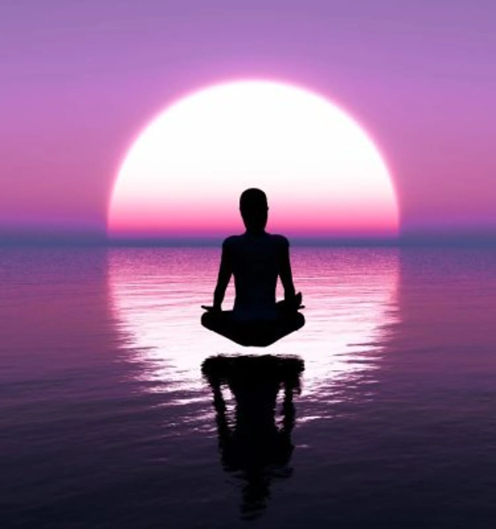 Tranquility Wellness and Yoga