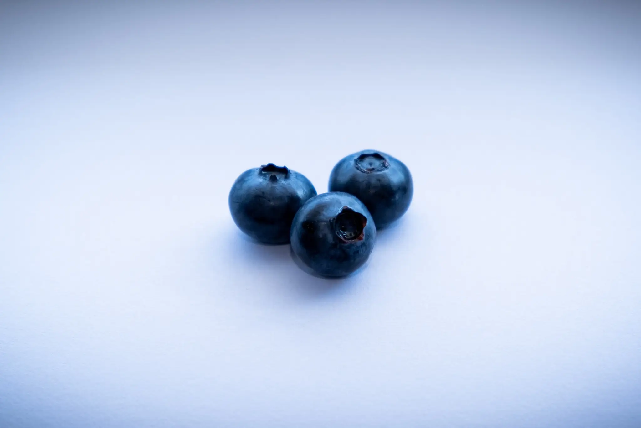 BlueberryNZ