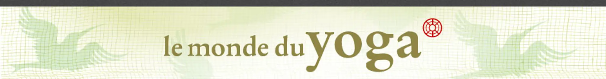 Le Monde Du Yoga