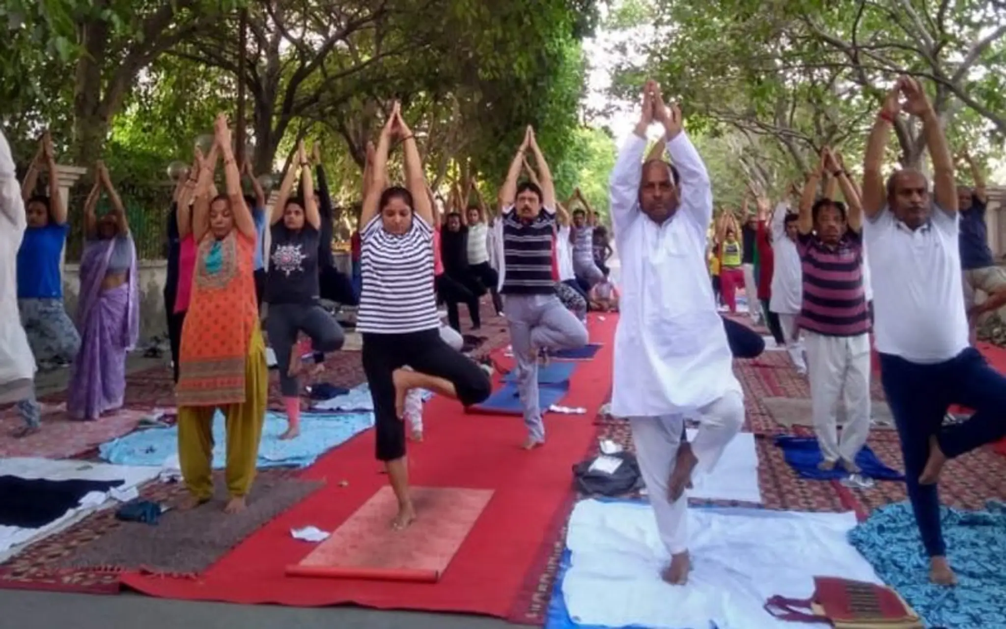 Integral Yoga Classes