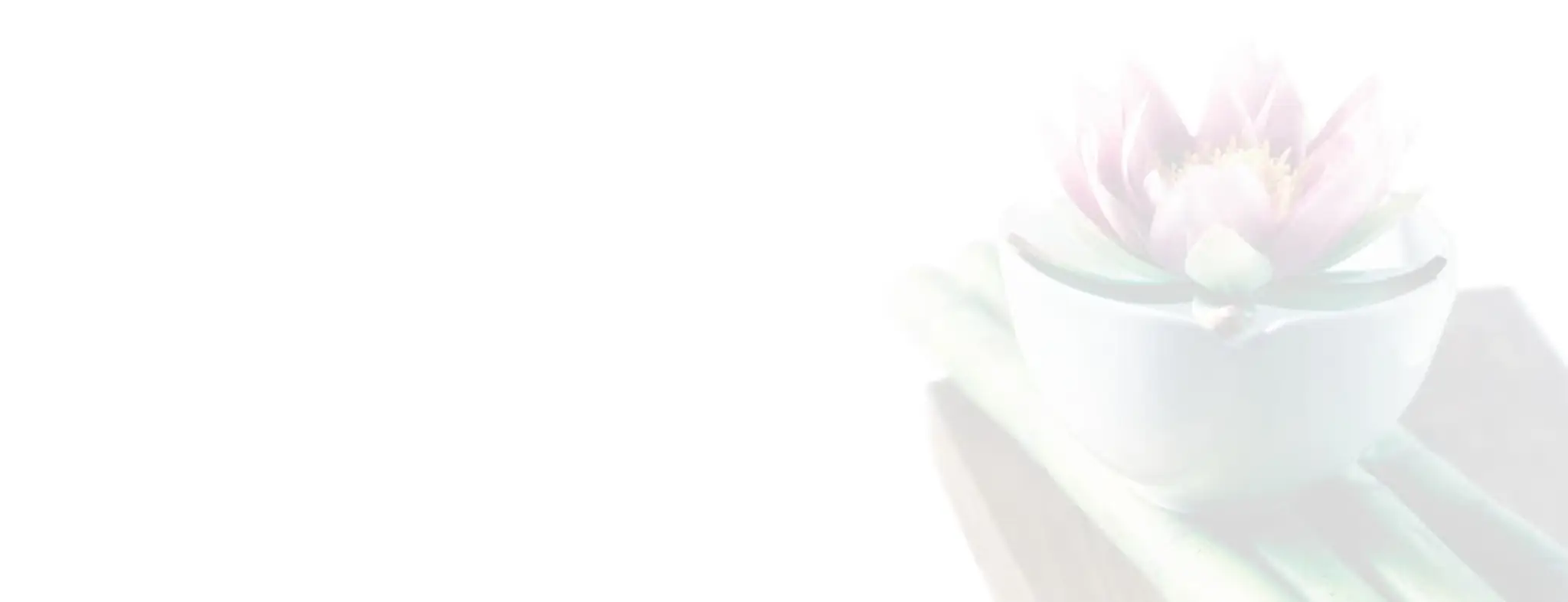 The Yoga Shed Crieff