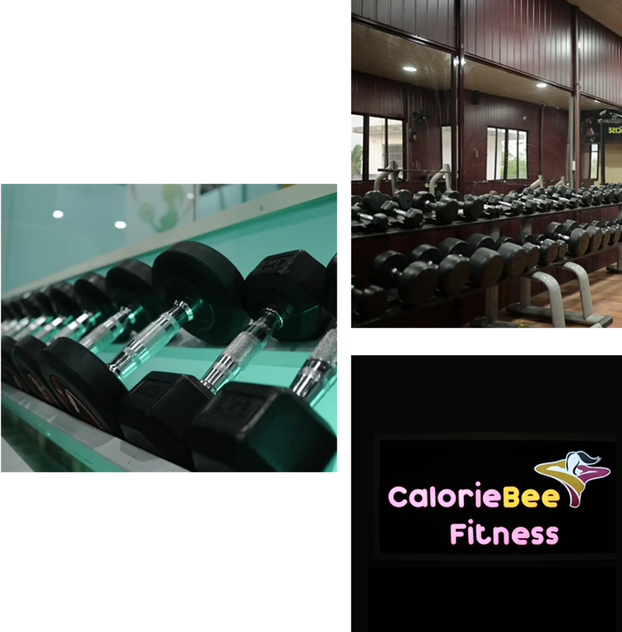 Calorie Bee fitness