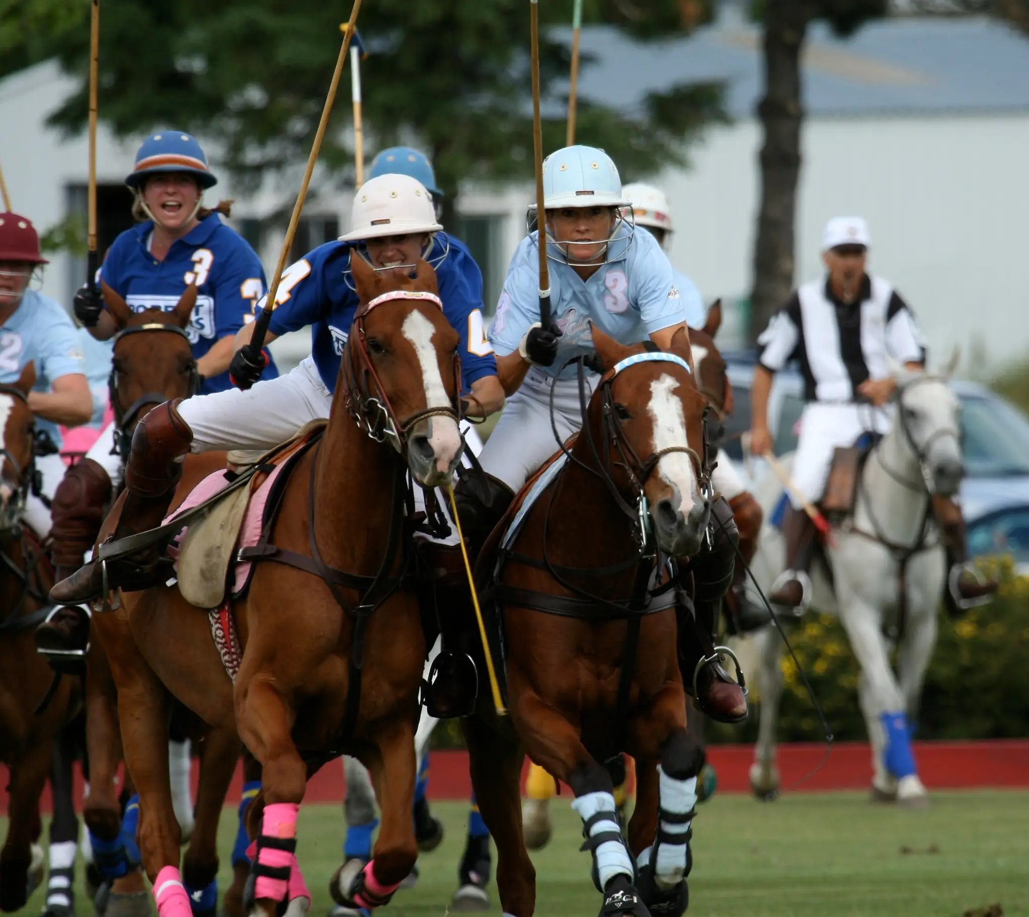 Toronto Polo Club