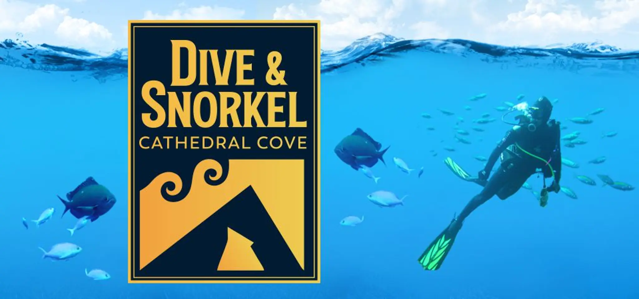Cathedral Cove Dive & Snorkel