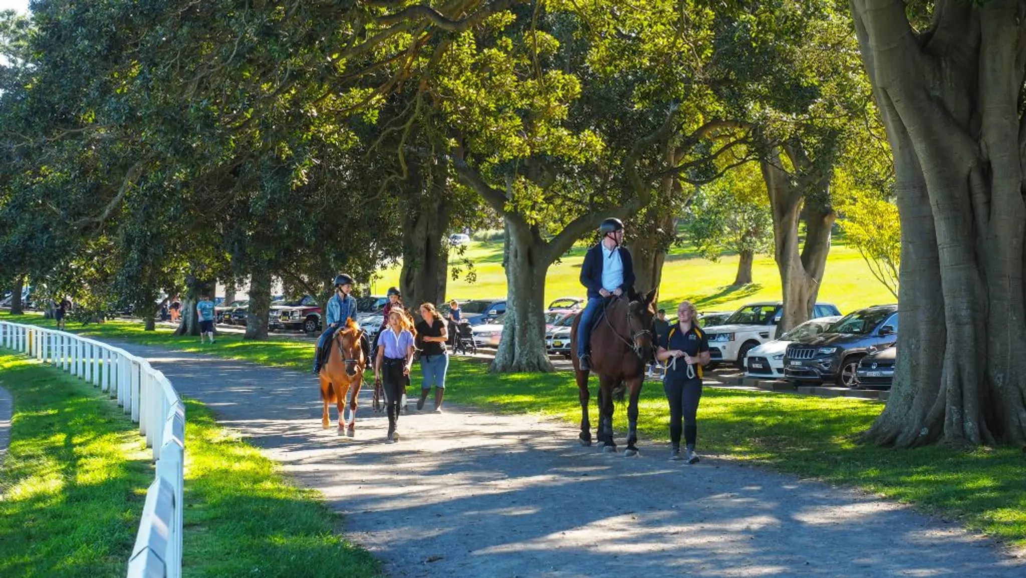 Eastside Horse Riding Academy Sydney