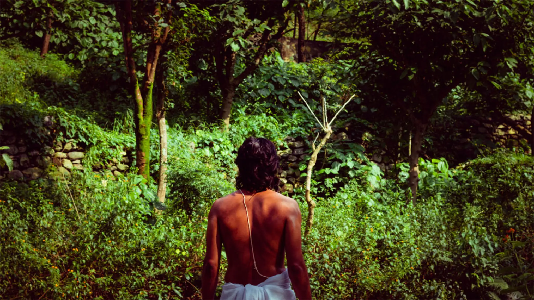 Beat Freaks Fitness N Dance Studio