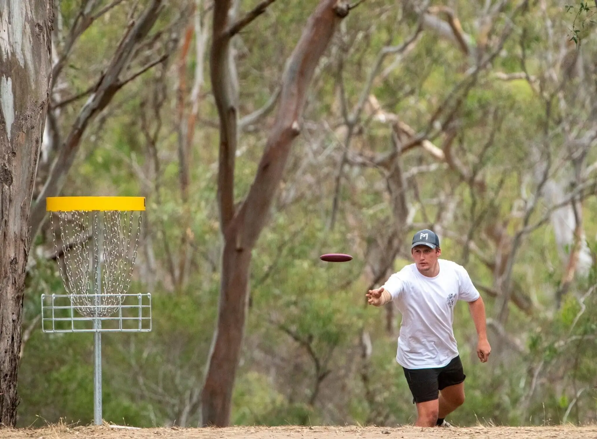 Taylor Reserve Disc Golf Park