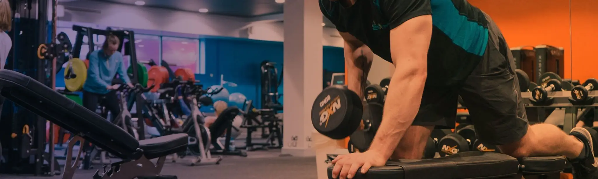 The Gus Healy Swimming Pool