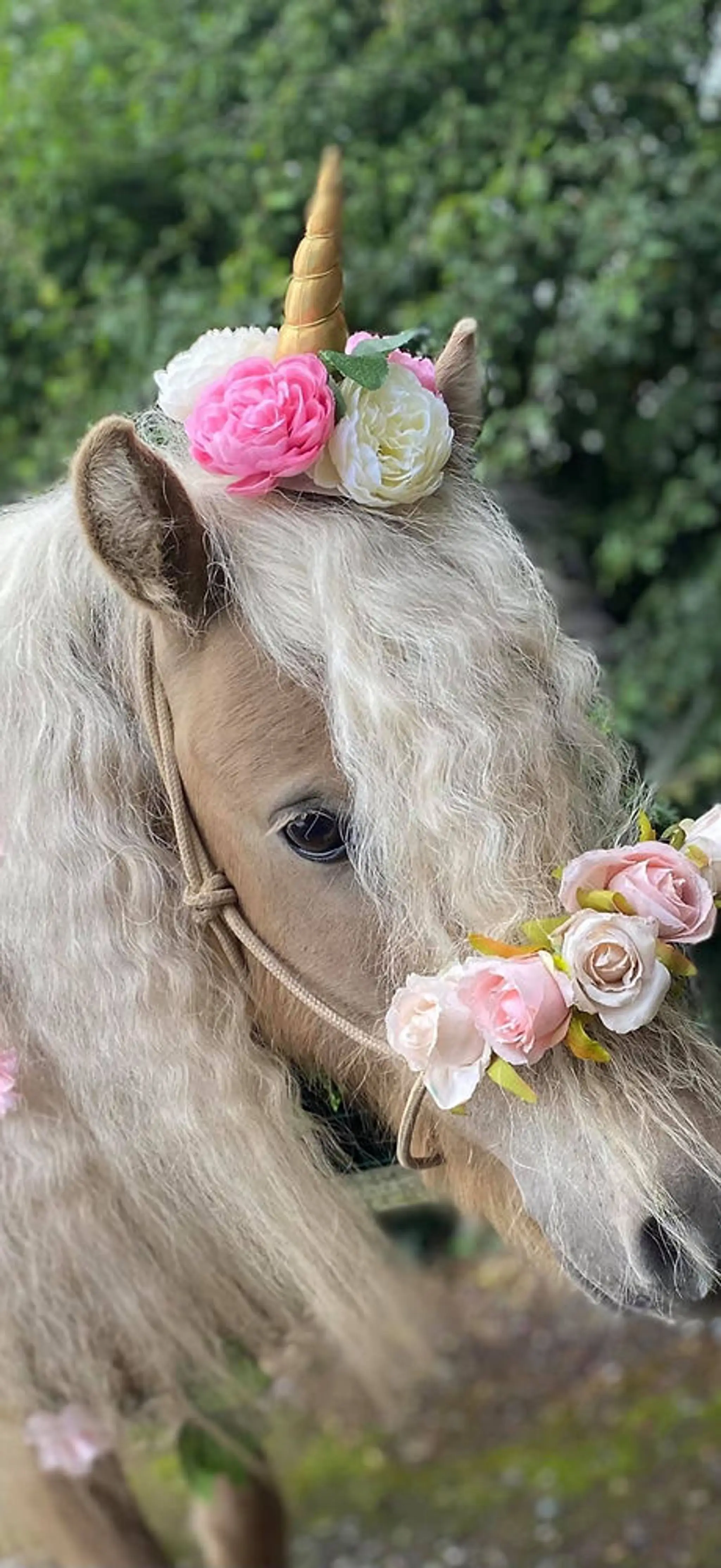 Mobberley Miniatures