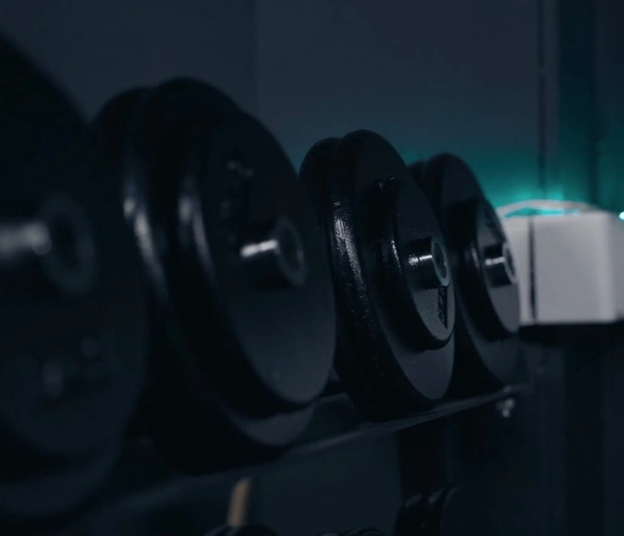 The Lemon Frog Fitness Company