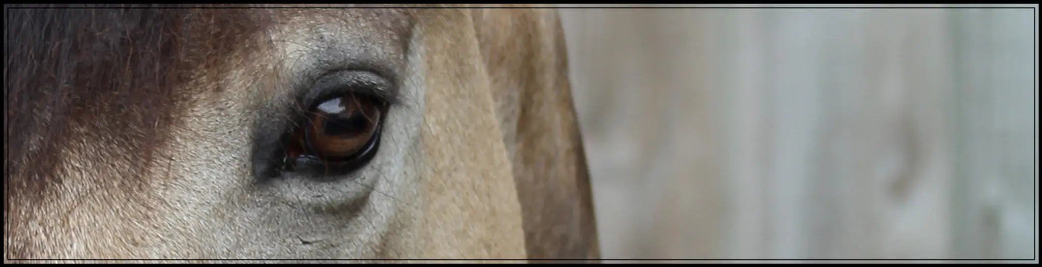 ETRIER DU VAL CHEVRIER