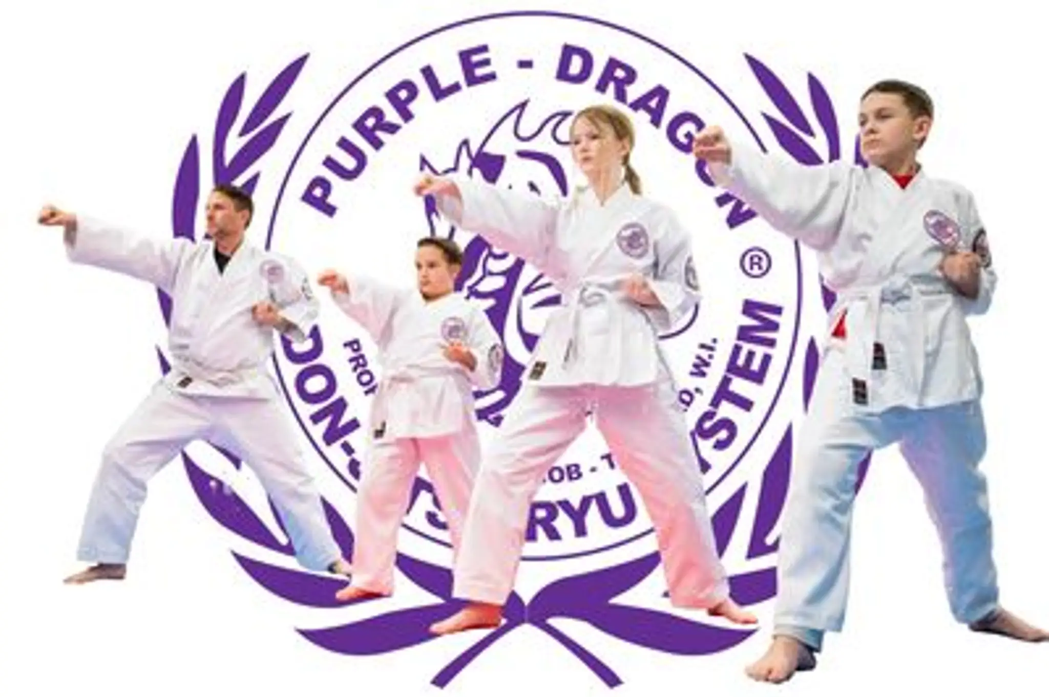Purple Dragon Martial Arts Kingsville