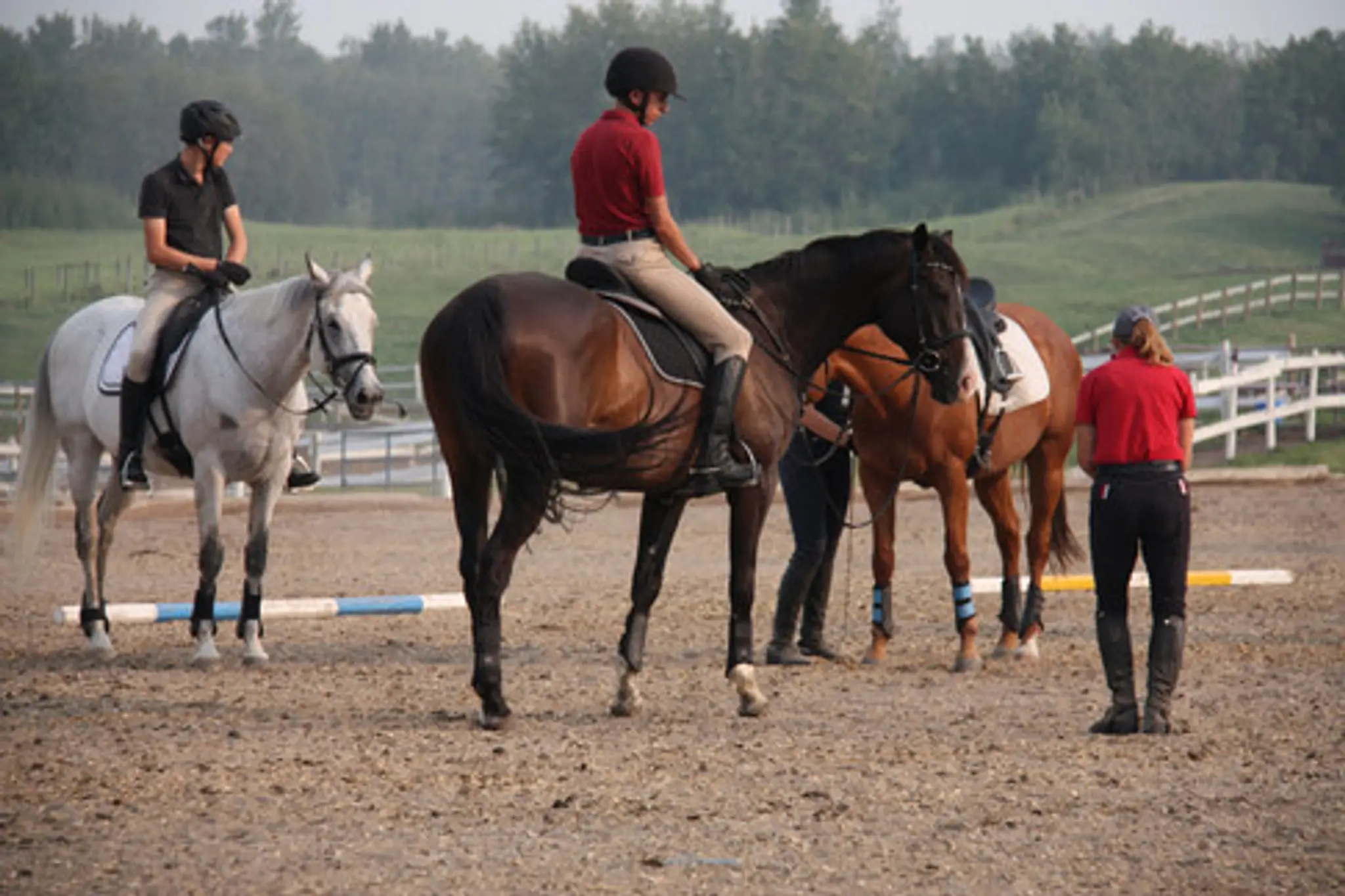 Sandridge Stables