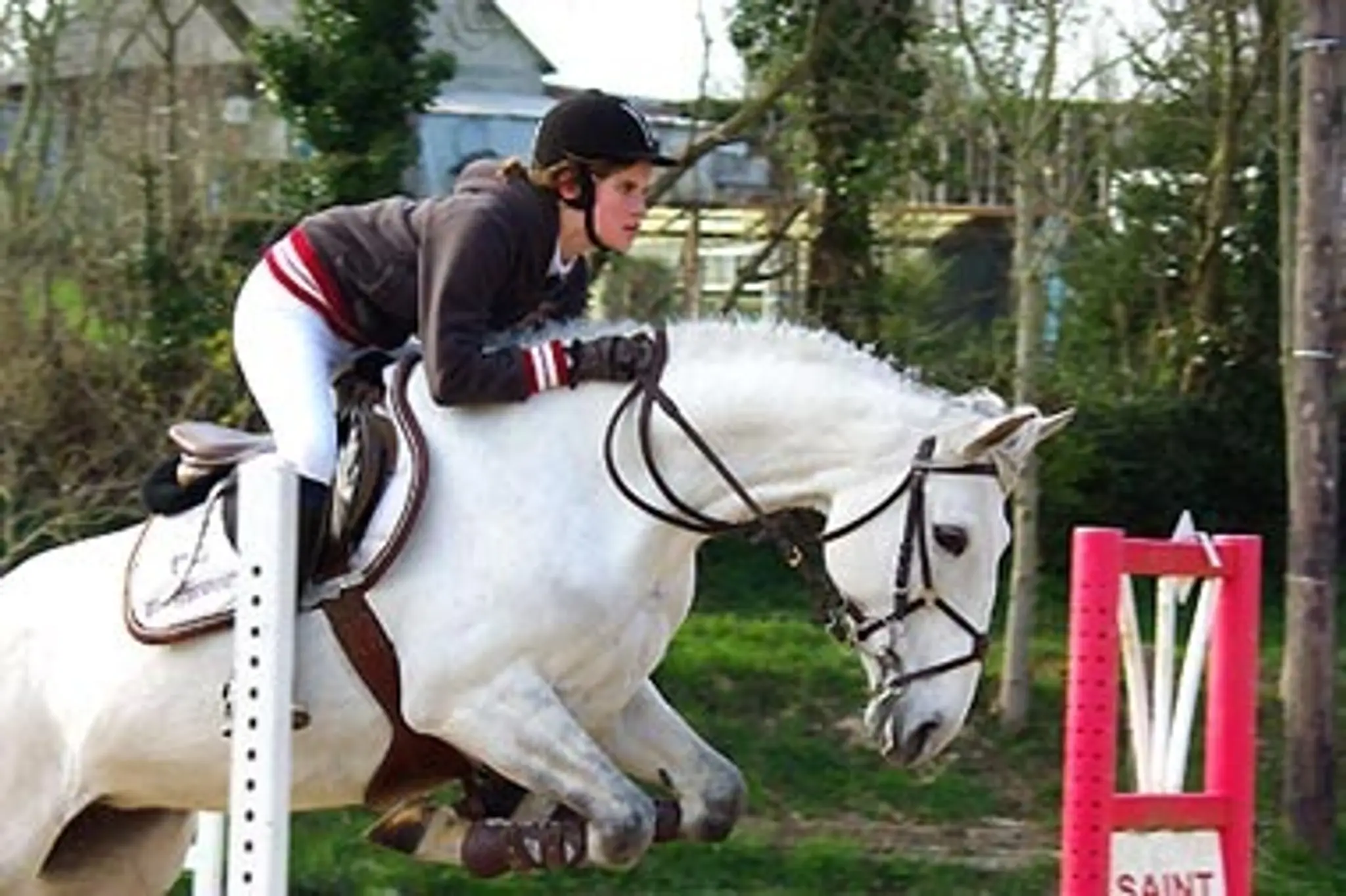Renarderie Equitation