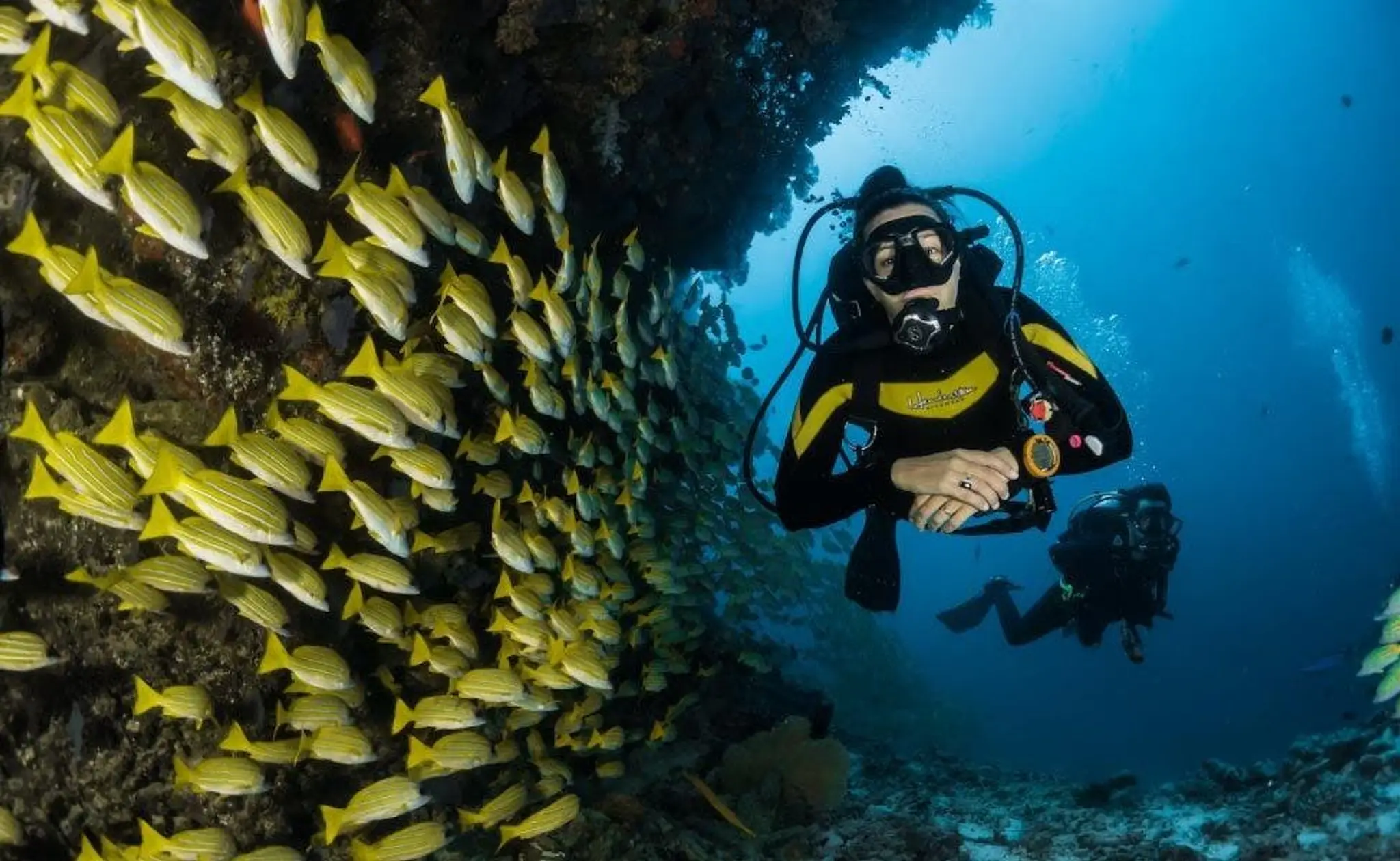Scuba Diving In Goa
