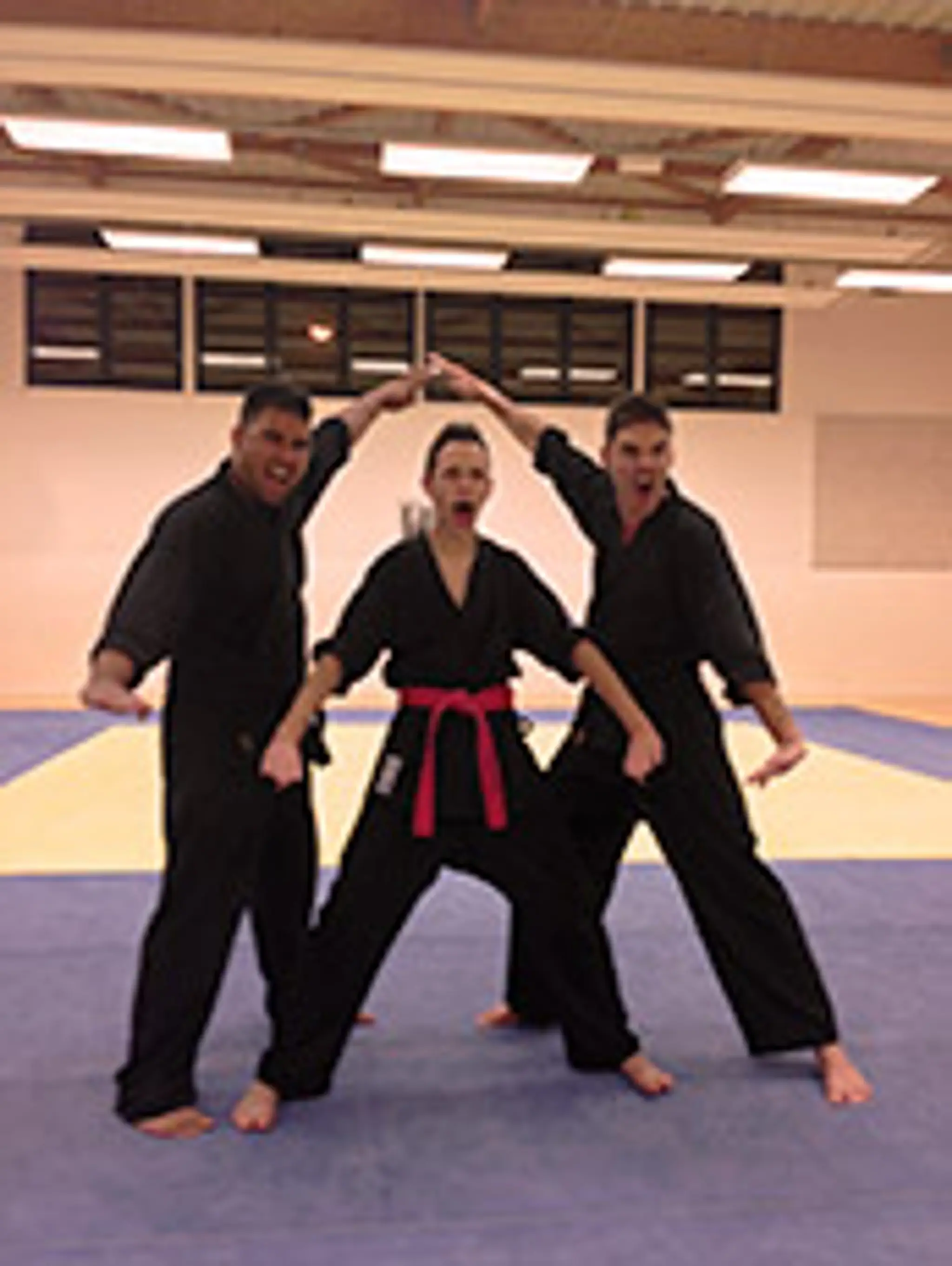 Team Advance - Martial Arts Artistiques Et Acrobatiques