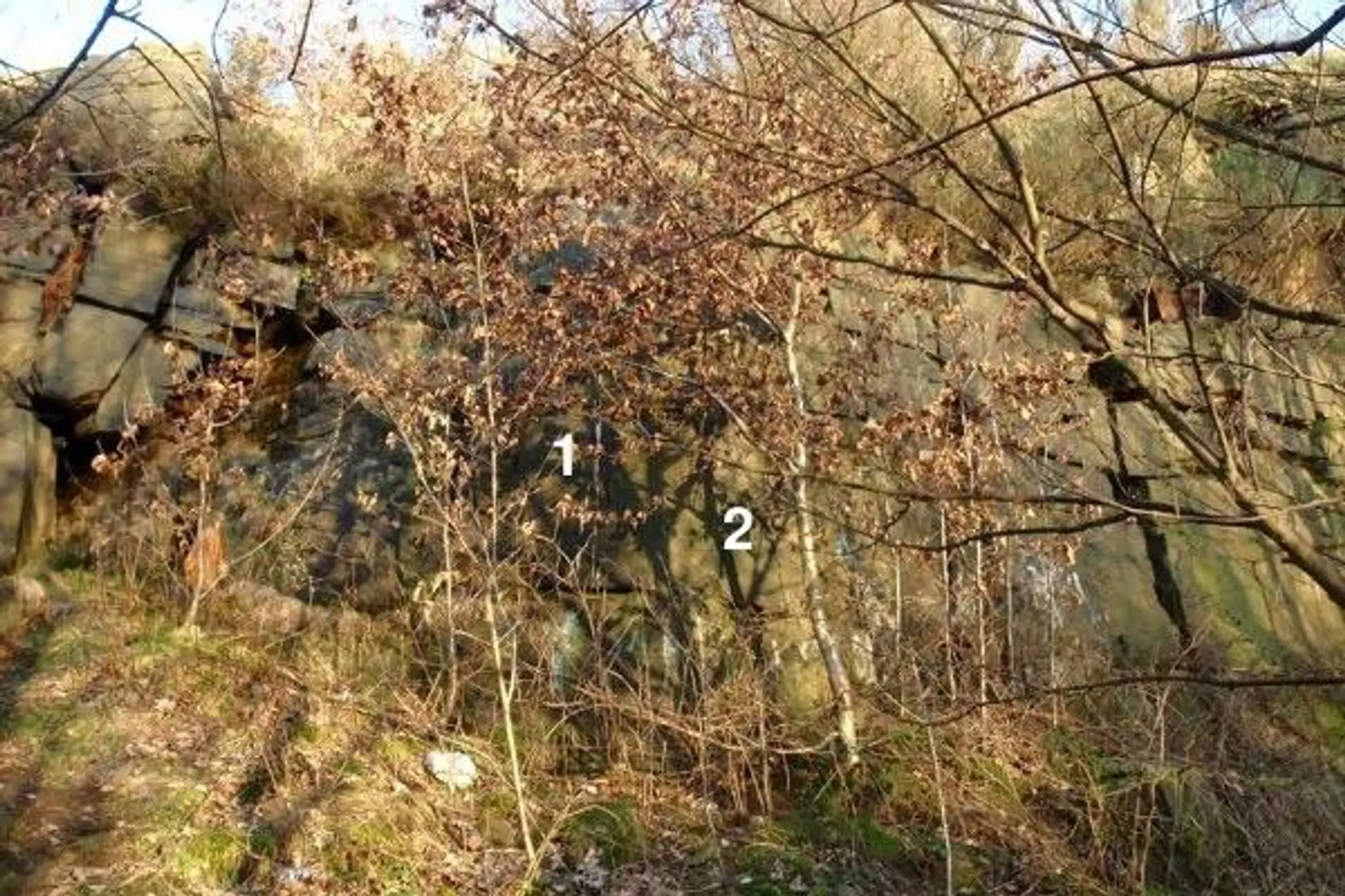 Longwood Tower Quarry