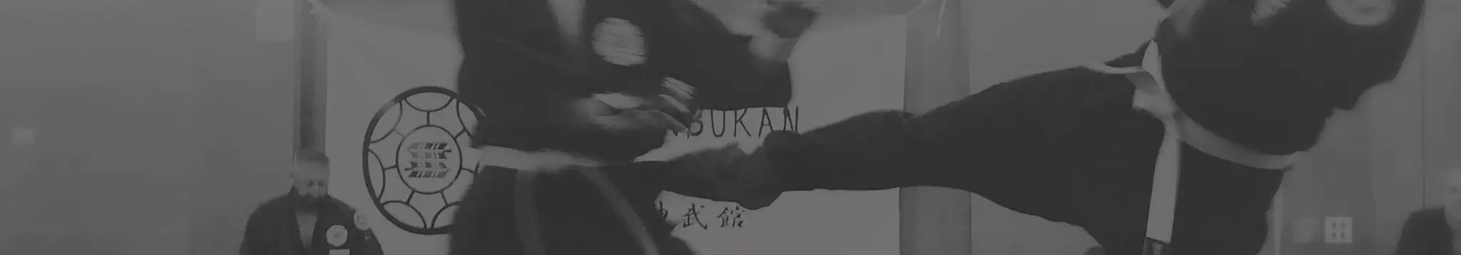 Shinbukan Karate Ninjutsu & Japanese Martial Arts