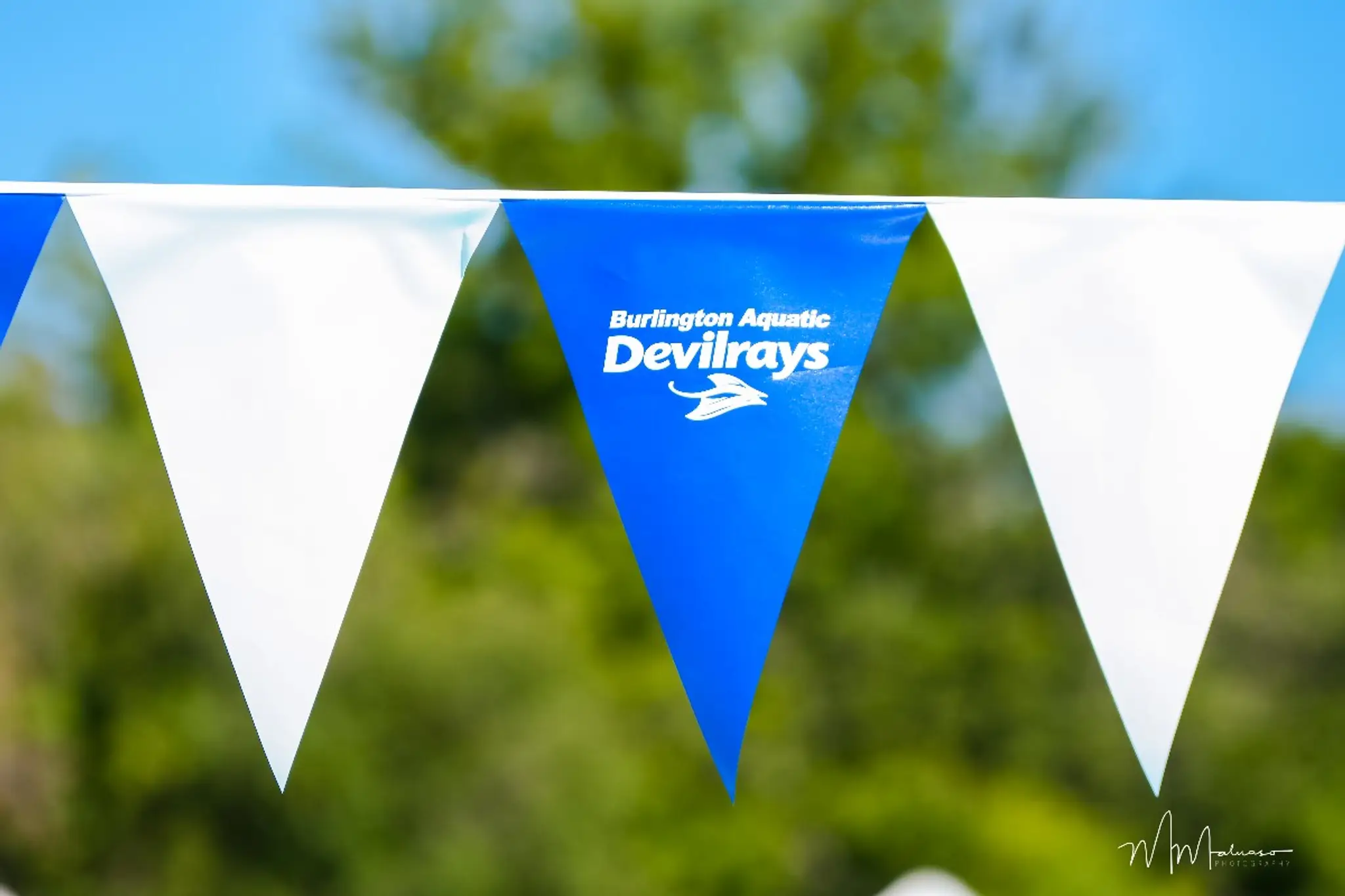 Burlington Aquatic Devilrays