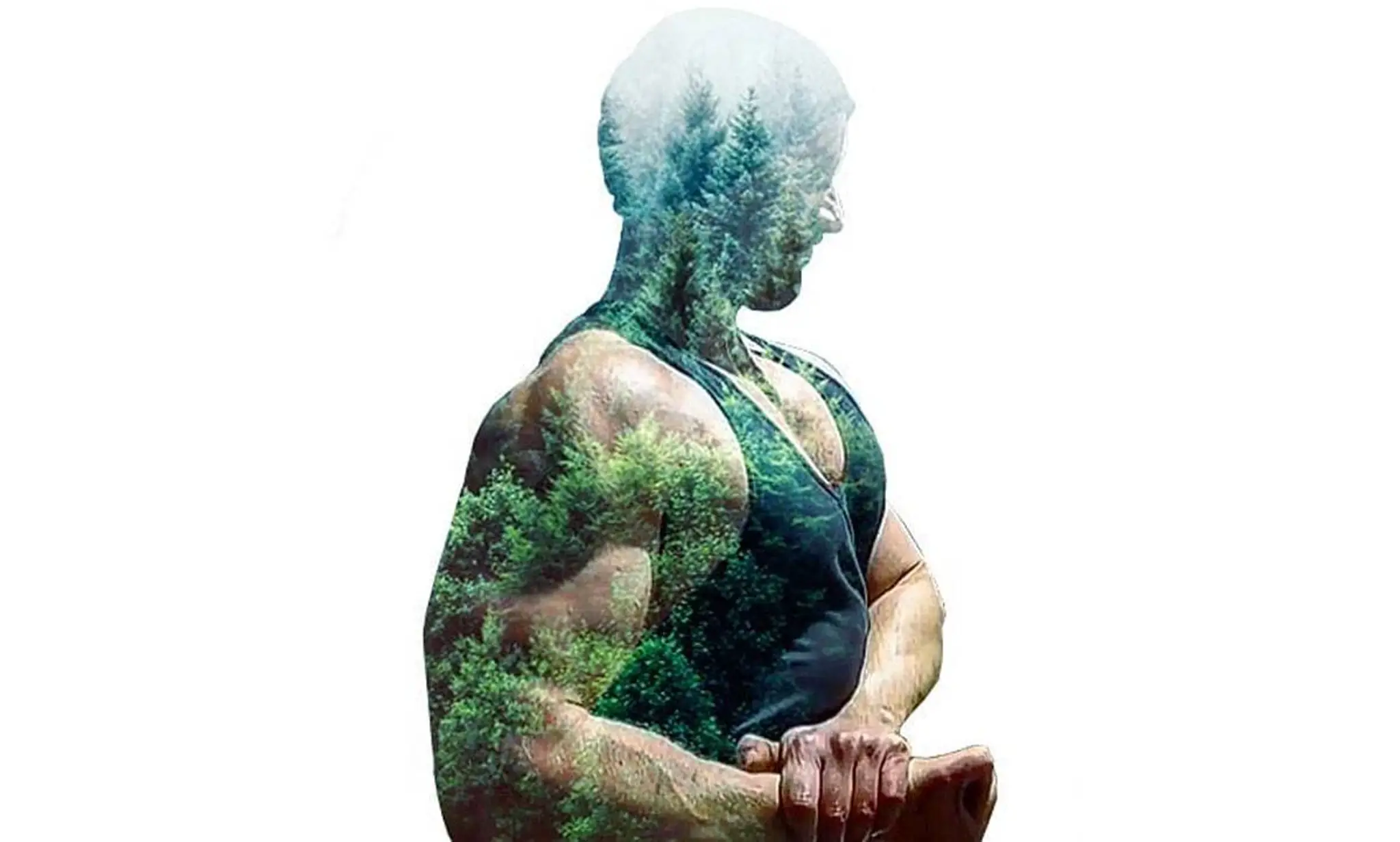 TheConsciousBodybuilder