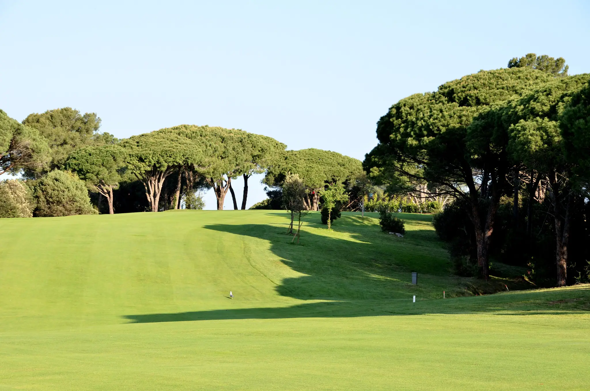 Golf Tennis Club Valescure