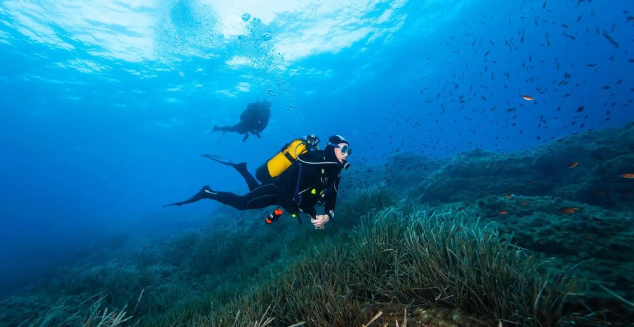 Harlow Sub Aqua Club - Scuba Diving in Essex